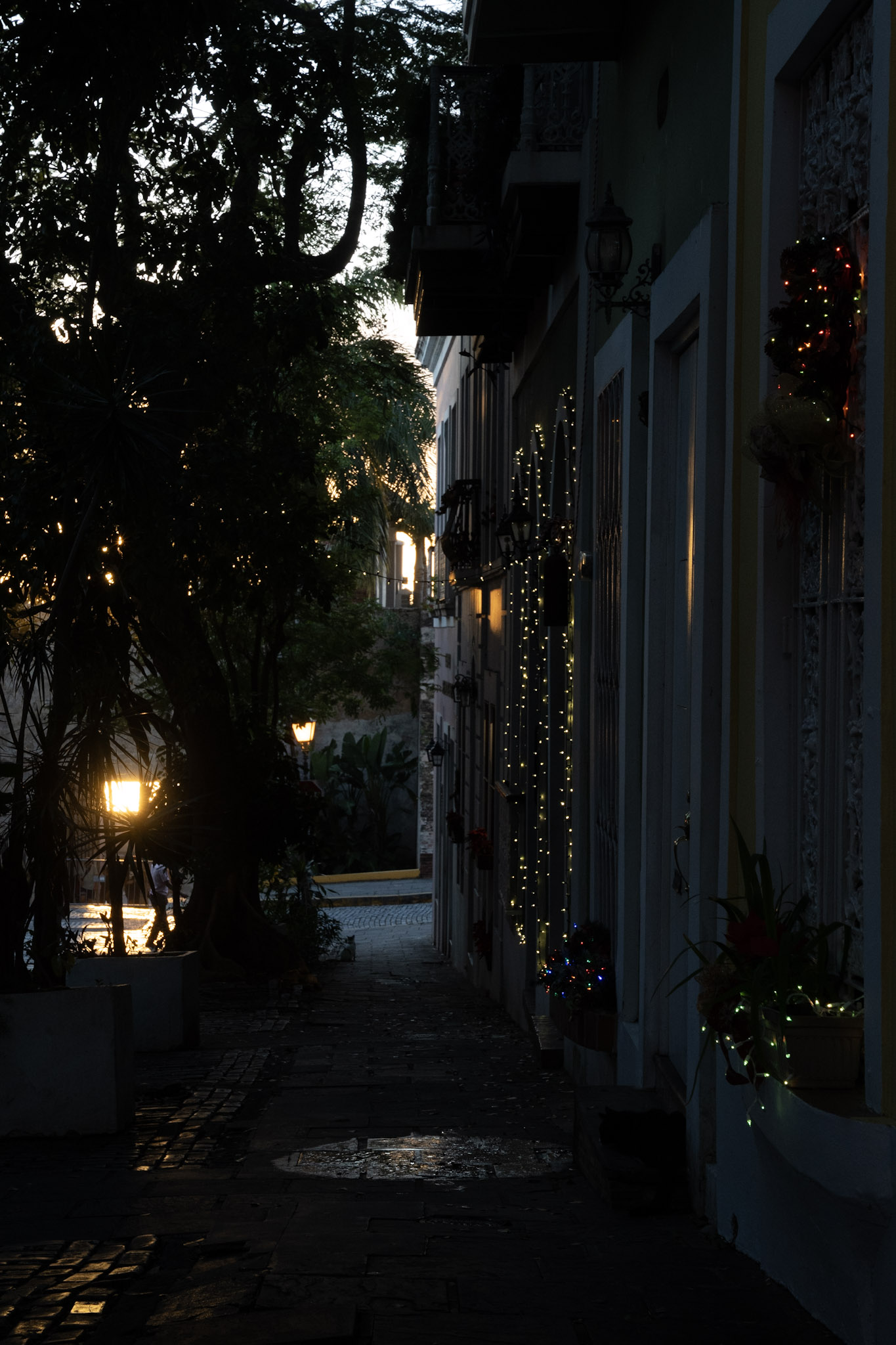 2022-12-24_San_Juan - foto 60