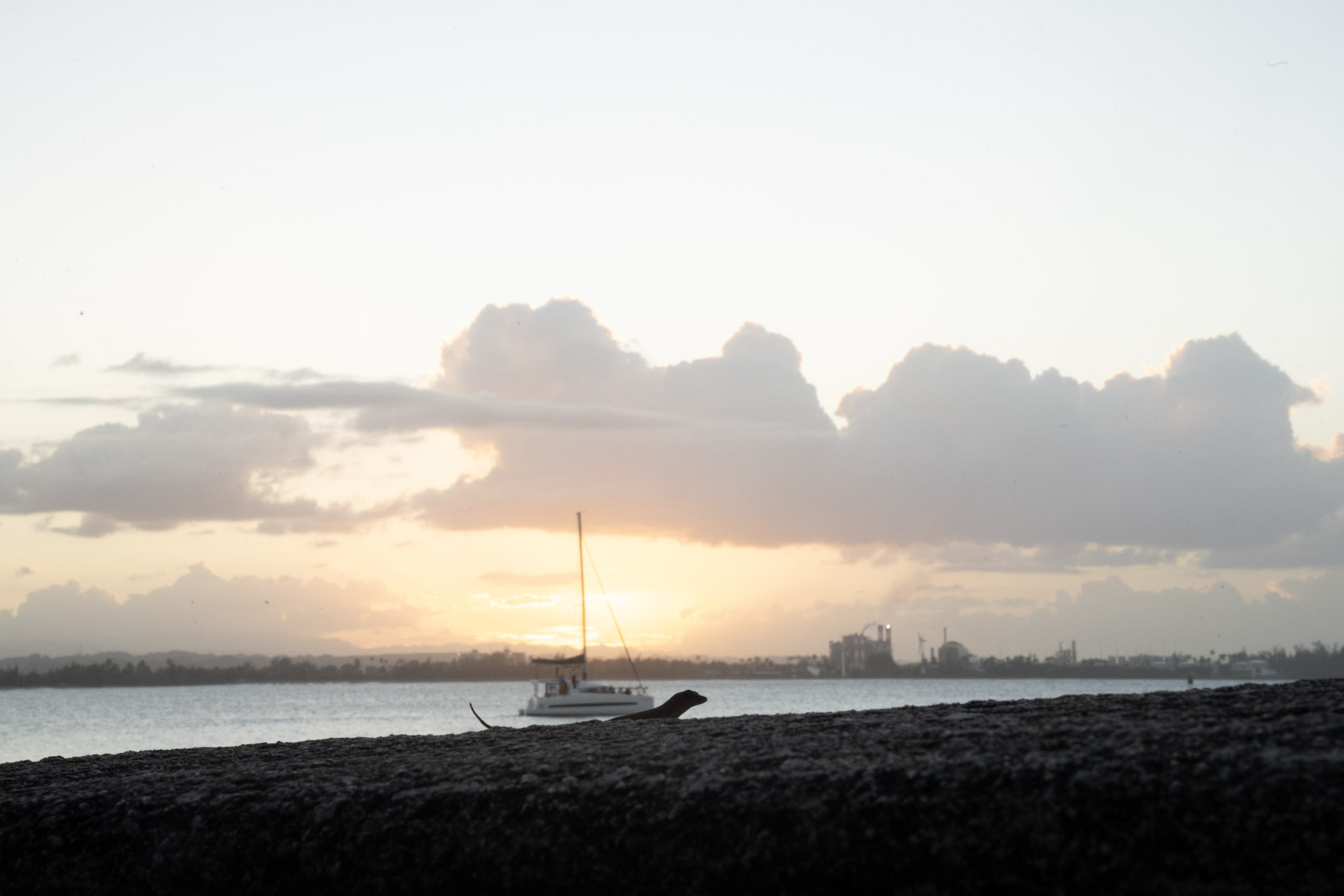 2022-12-24_San_Juan - foto 85