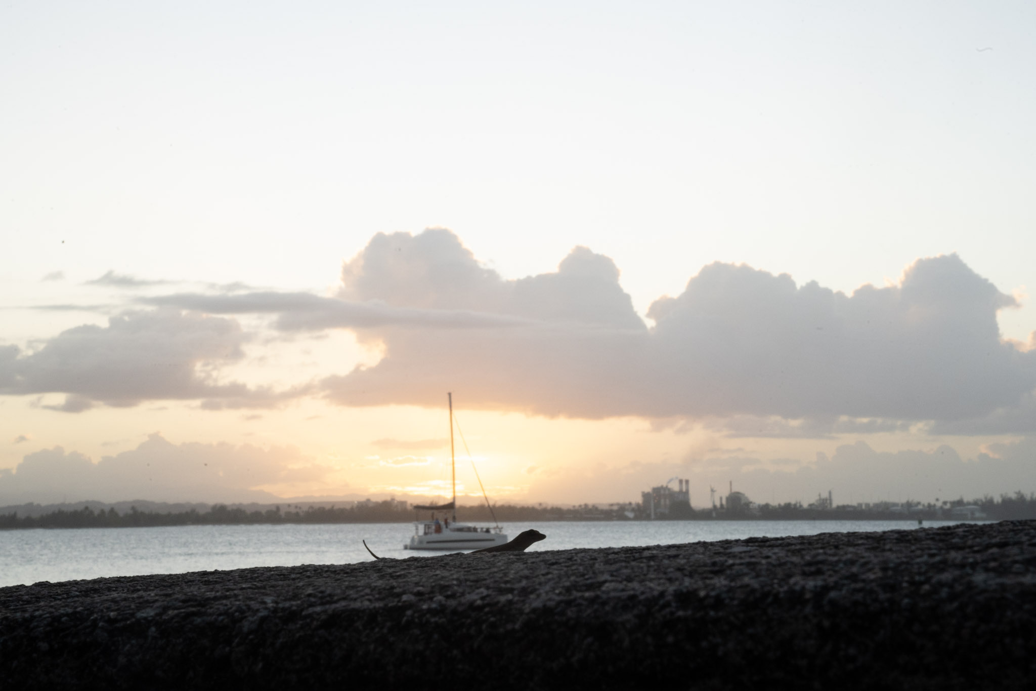 2022-12-24_San_Juan - foto 86