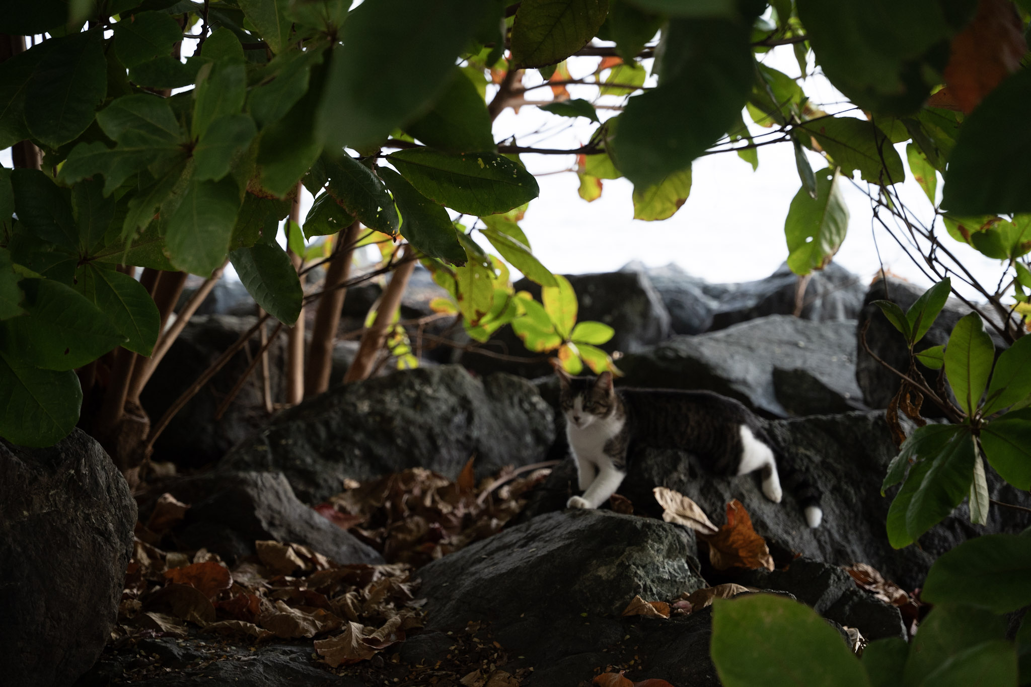 2022-12-24_San_Juan - foto 87