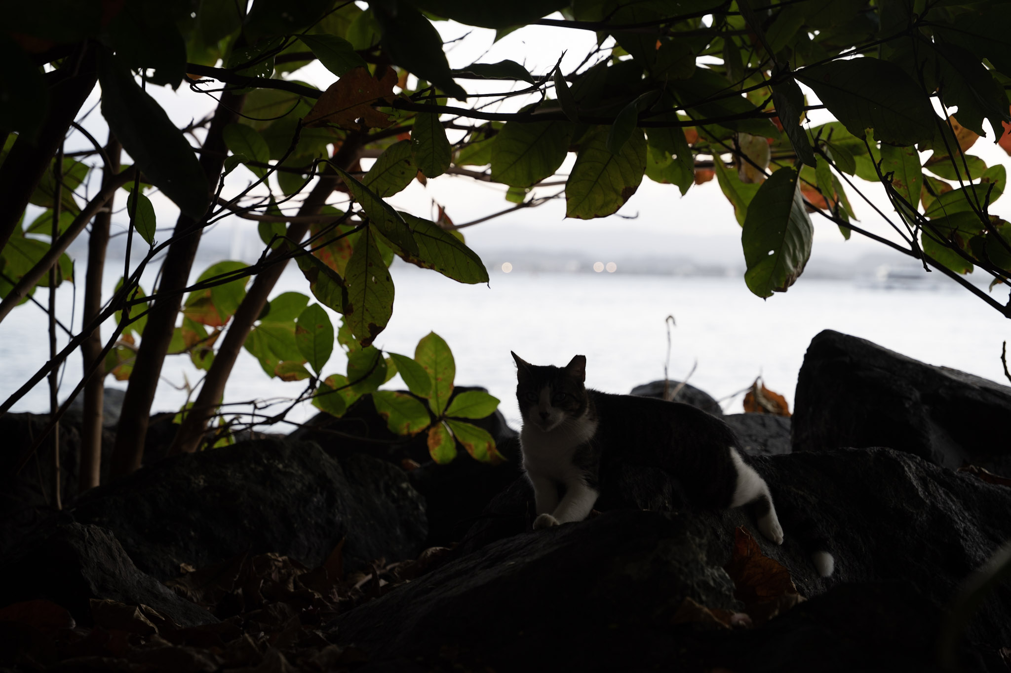 2022-12-24_San_Juan - foto 90