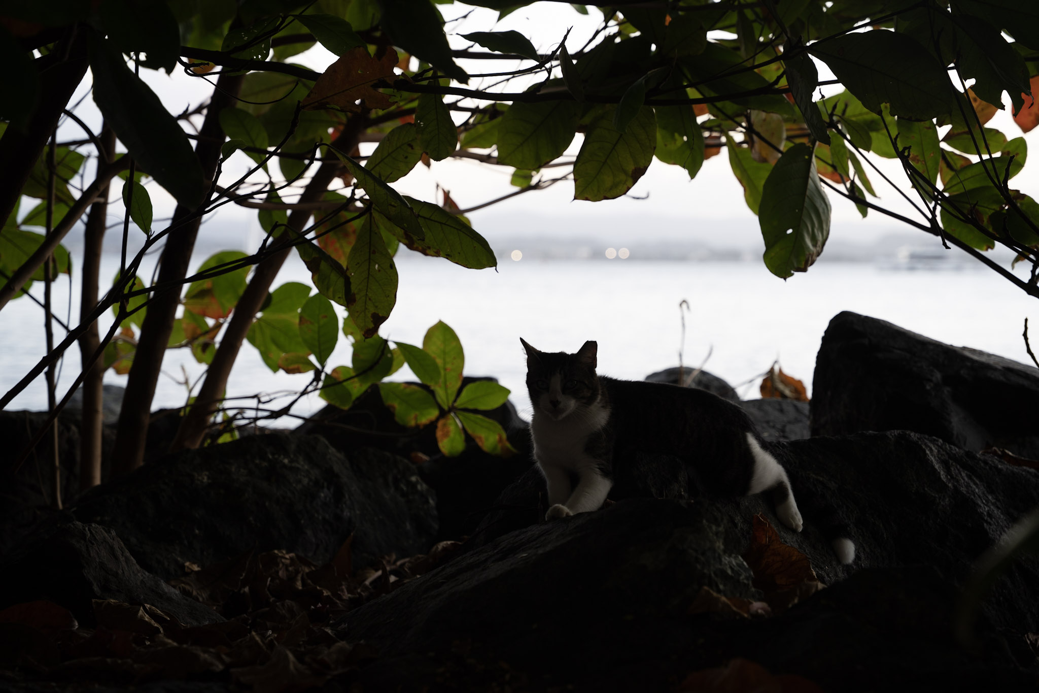 2022-12-24_San_Juan - foto 91