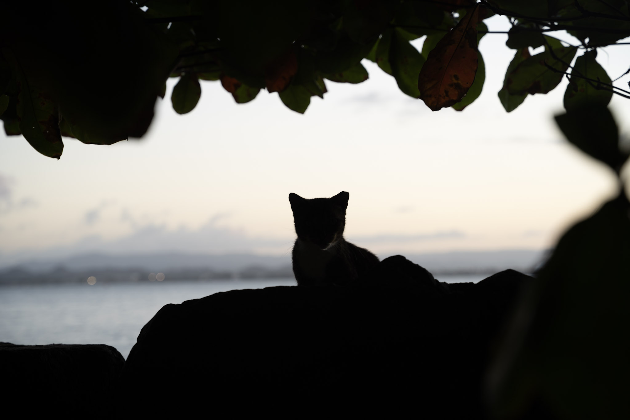 2022-12-24_San_Juan - foto 92