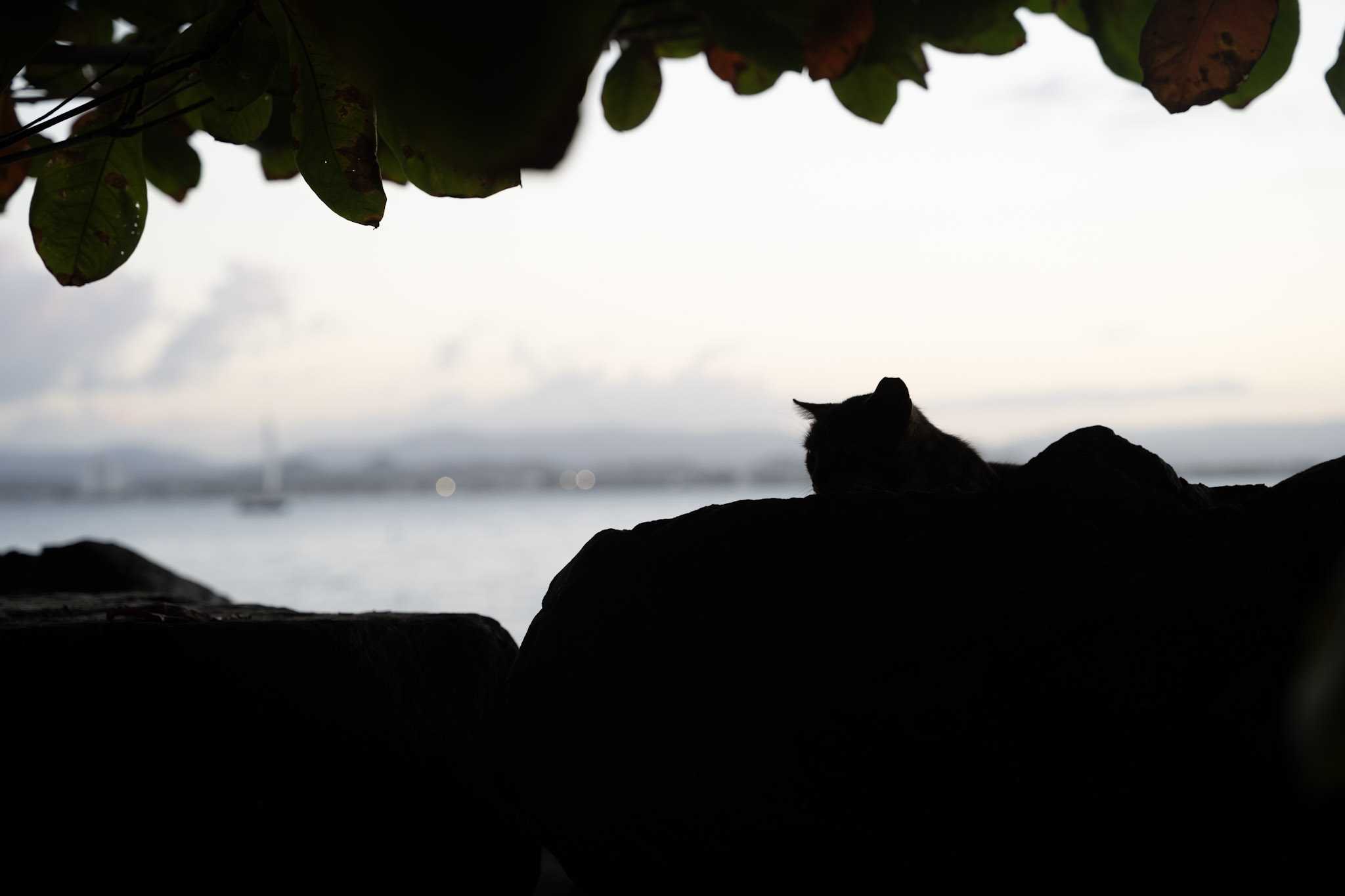 2022-12-24_San_Juan - foto 93