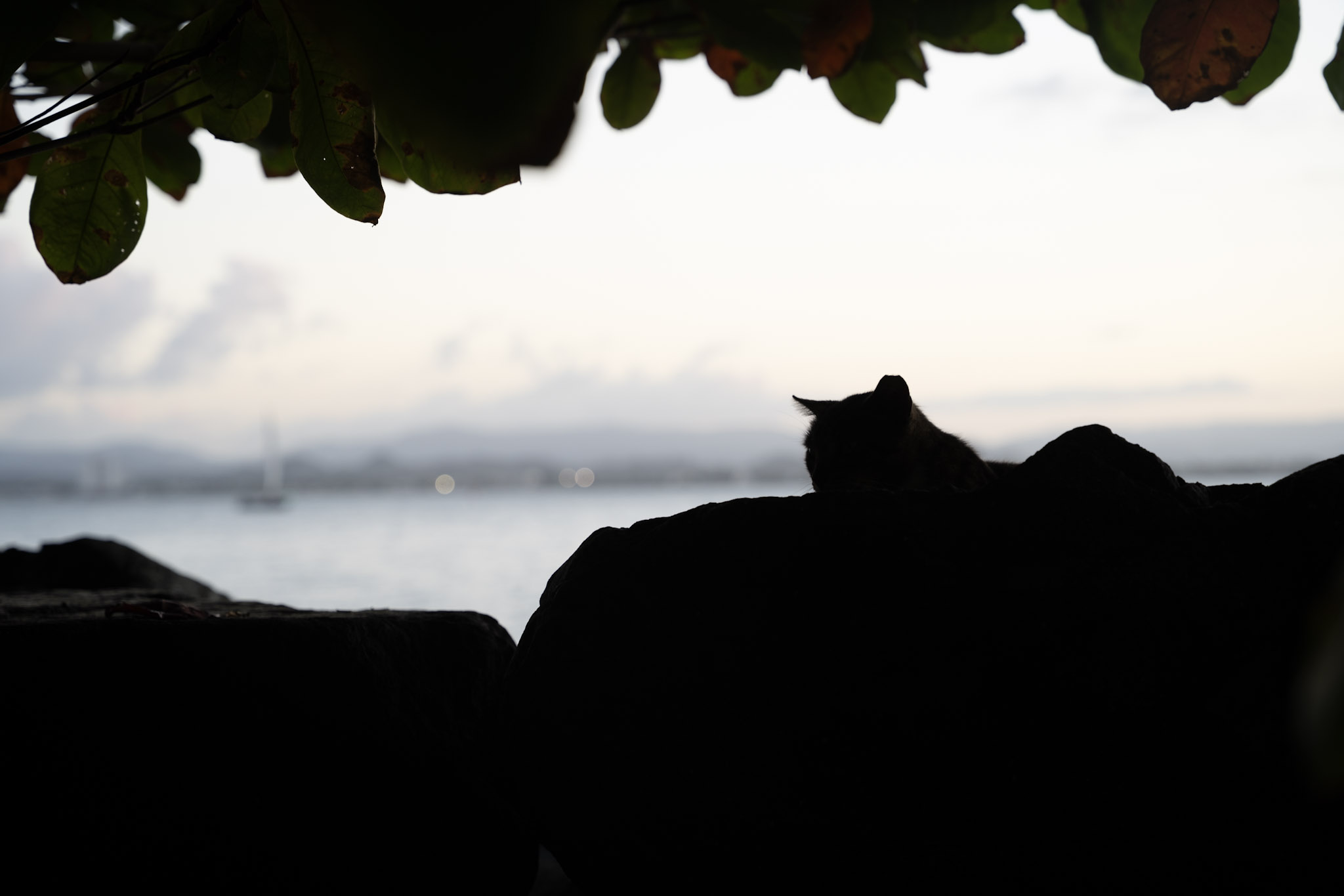 2022-12-24_San_Juan - foto 94