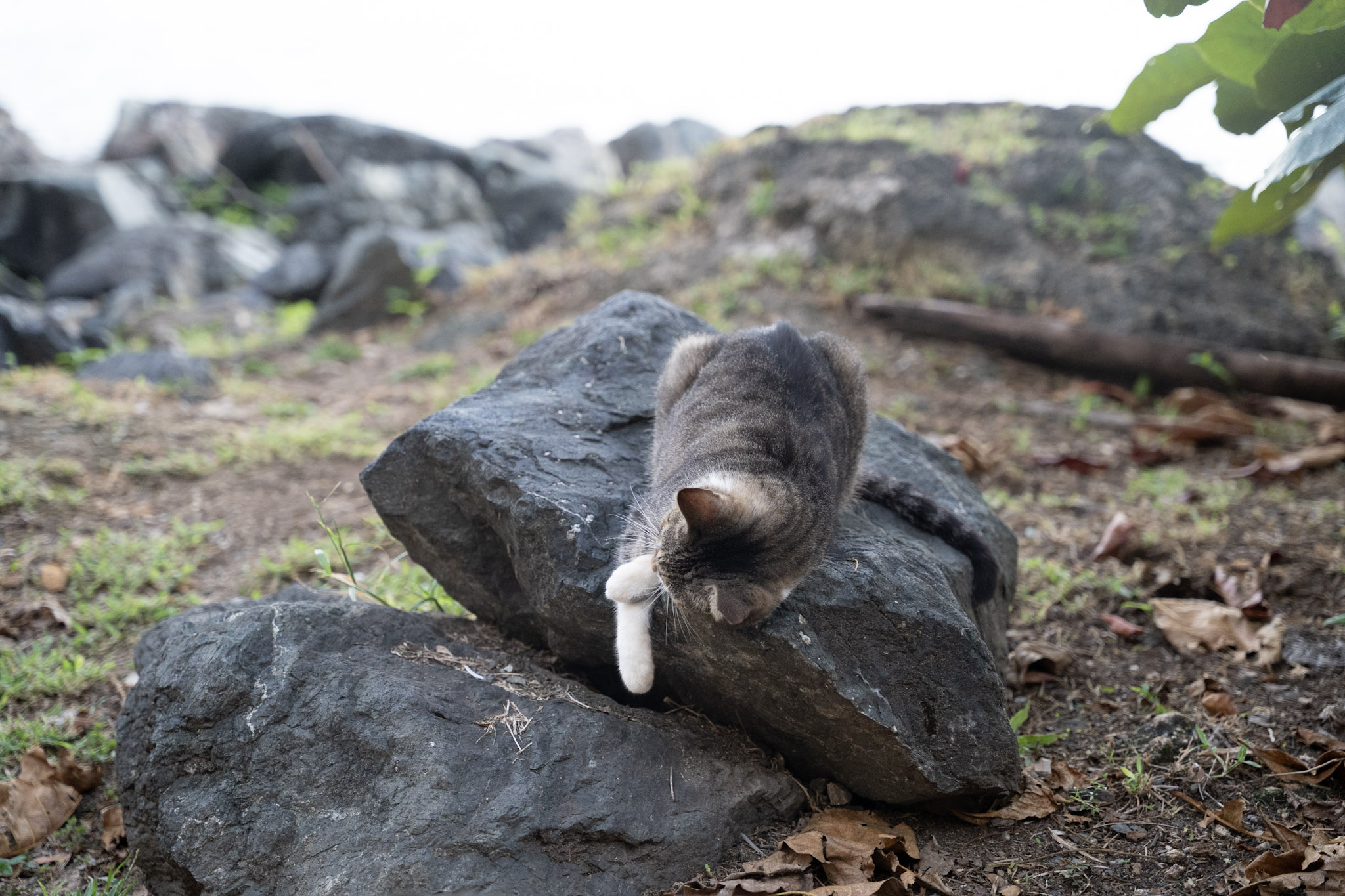 2022-12-24_San_Juan - foto 95