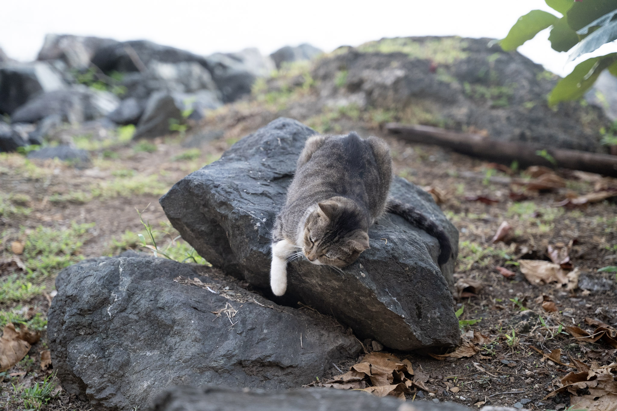 2022-12-24_San_Juan - foto 97