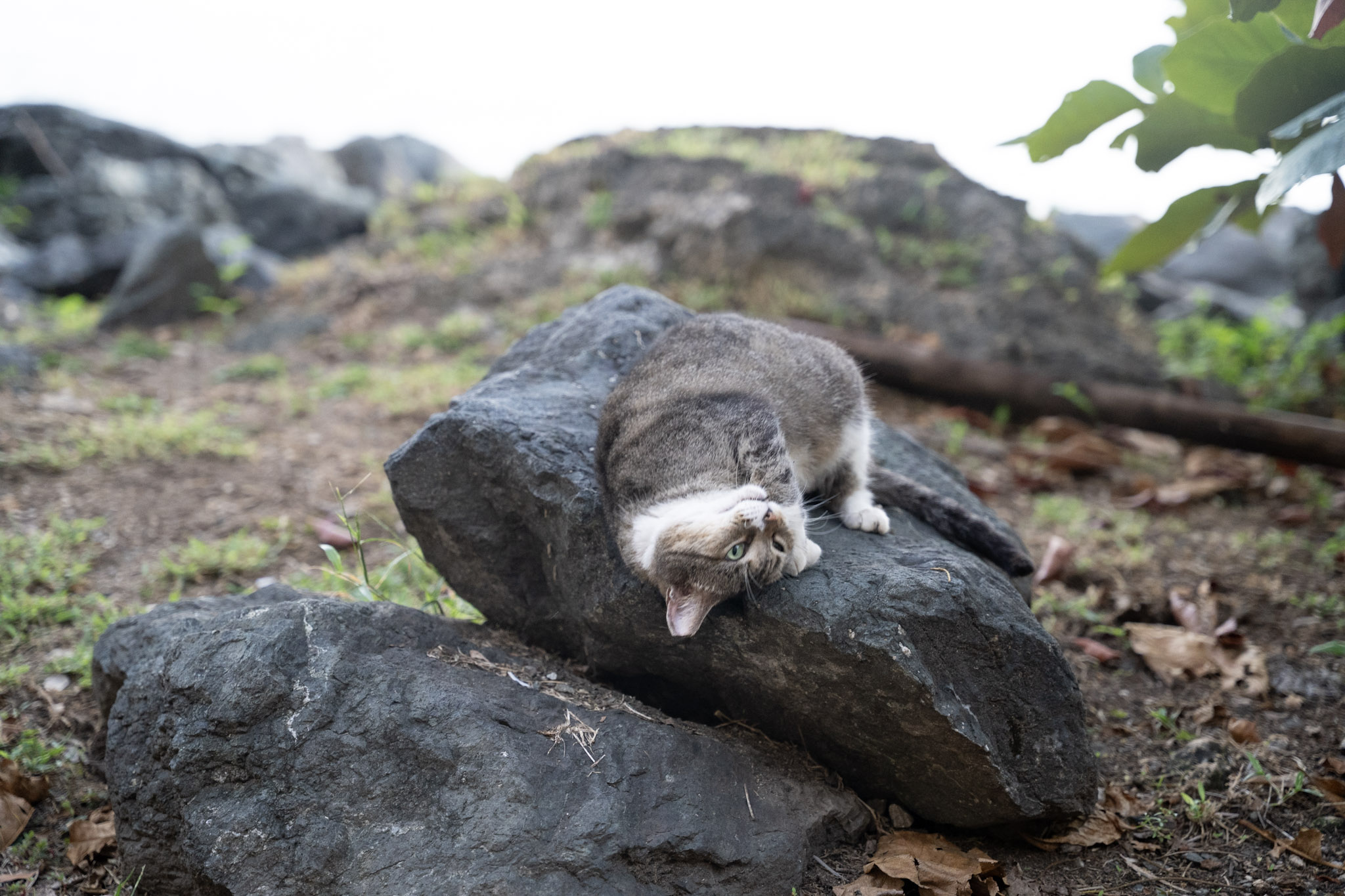 2022-12-24_San_Juan - foto 99