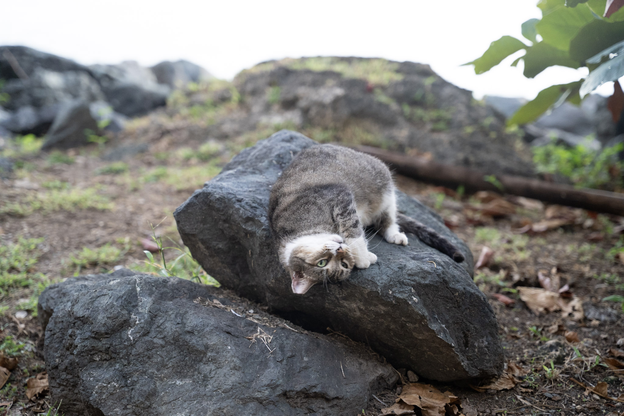 2022-12-24_San_Juan - foto 100