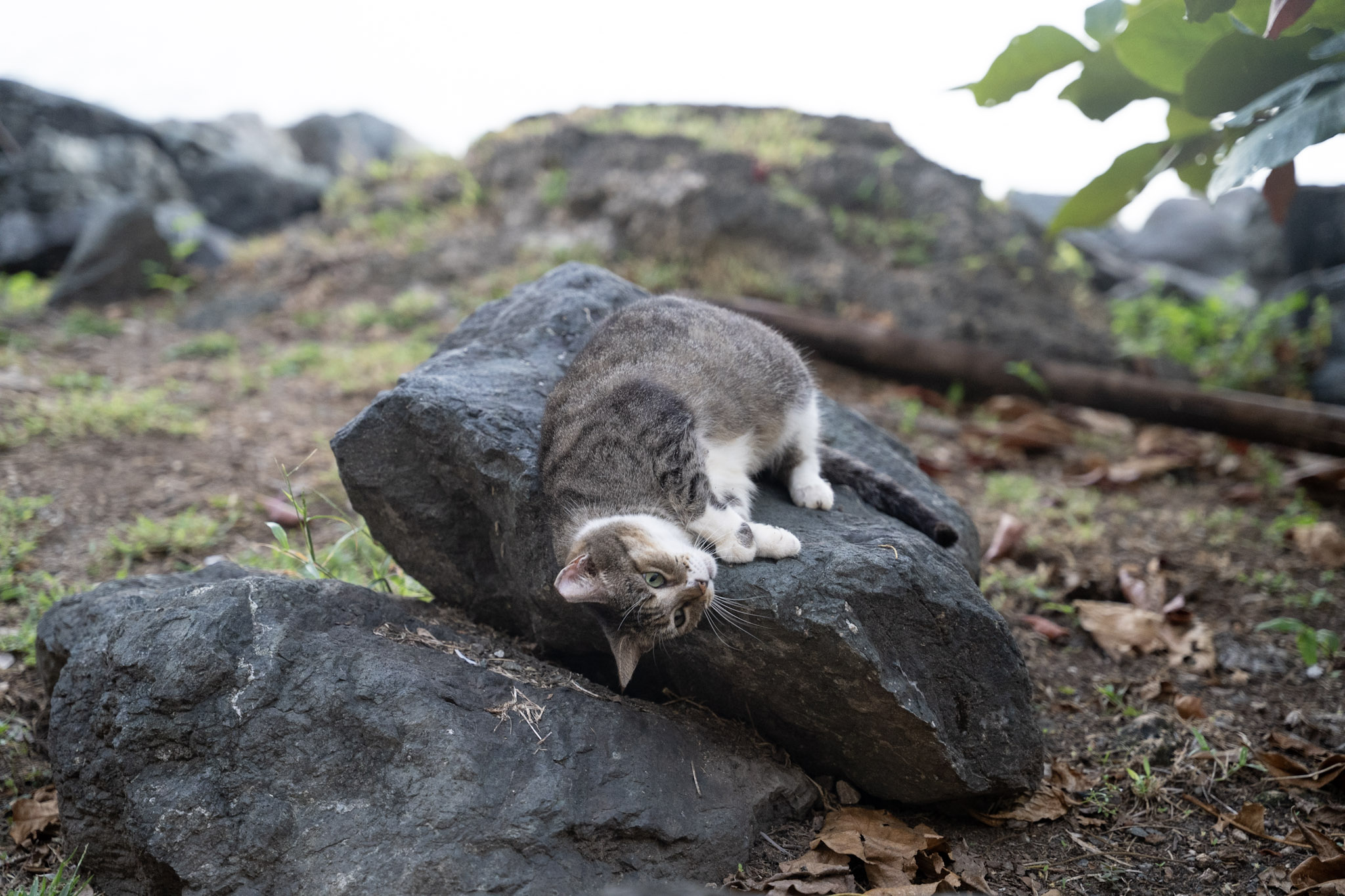 2022-12-24_San_Juan - foto 101