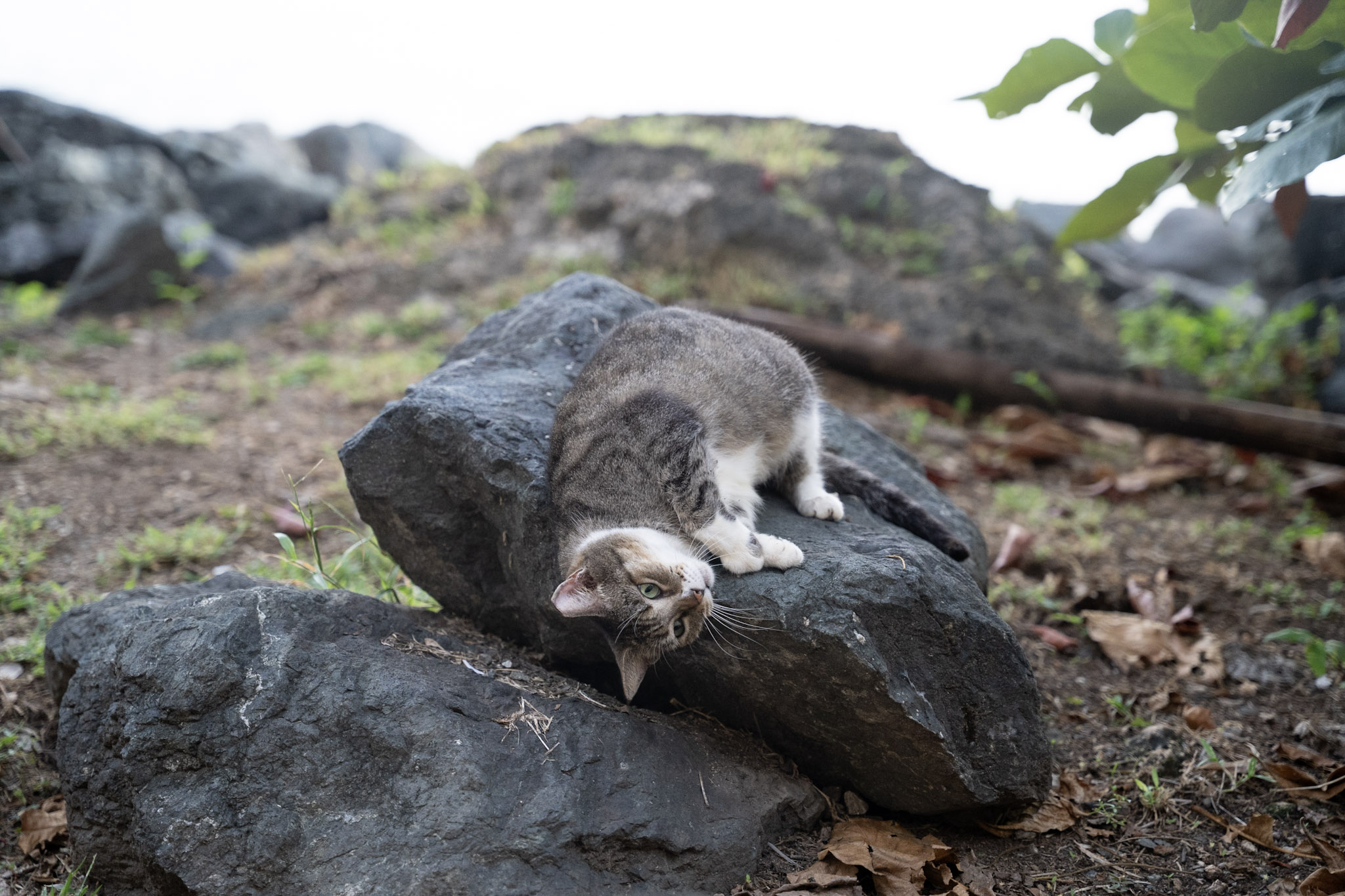 2022-12-24_San_Juan - foto 102