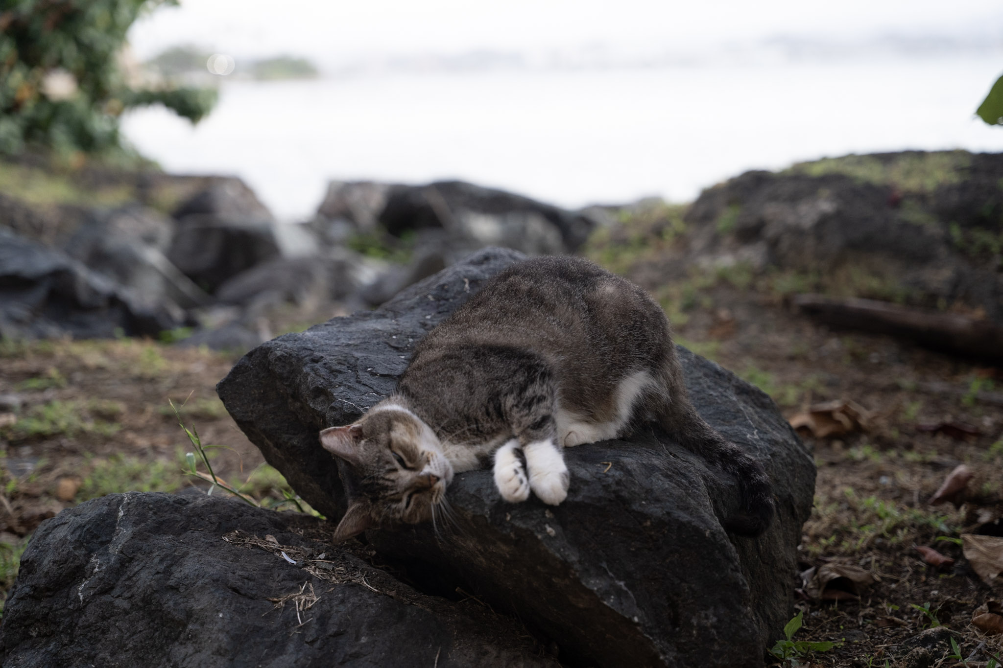 2022-12-24_San_Juan - foto 103