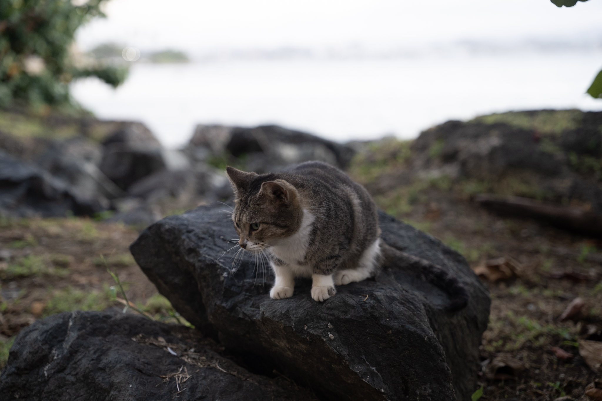 2022-12-24_San_Juan - foto 104