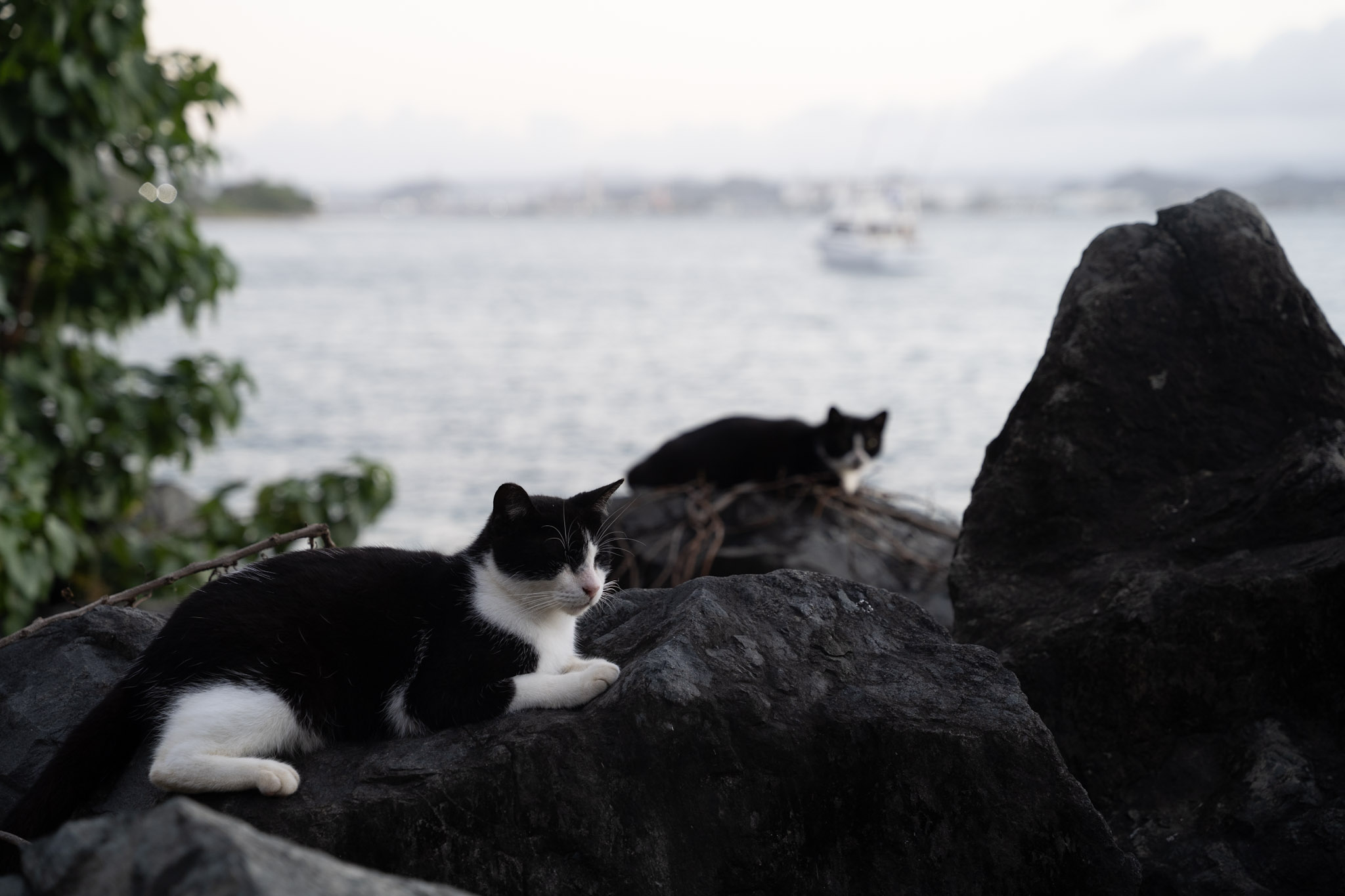 2022-12-24_San_Juan - foto 106