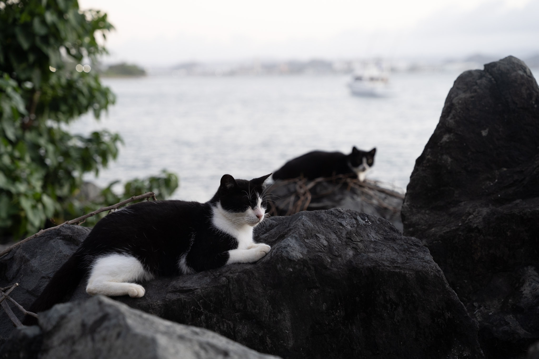 2022-12-24_San_Juan - foto 107