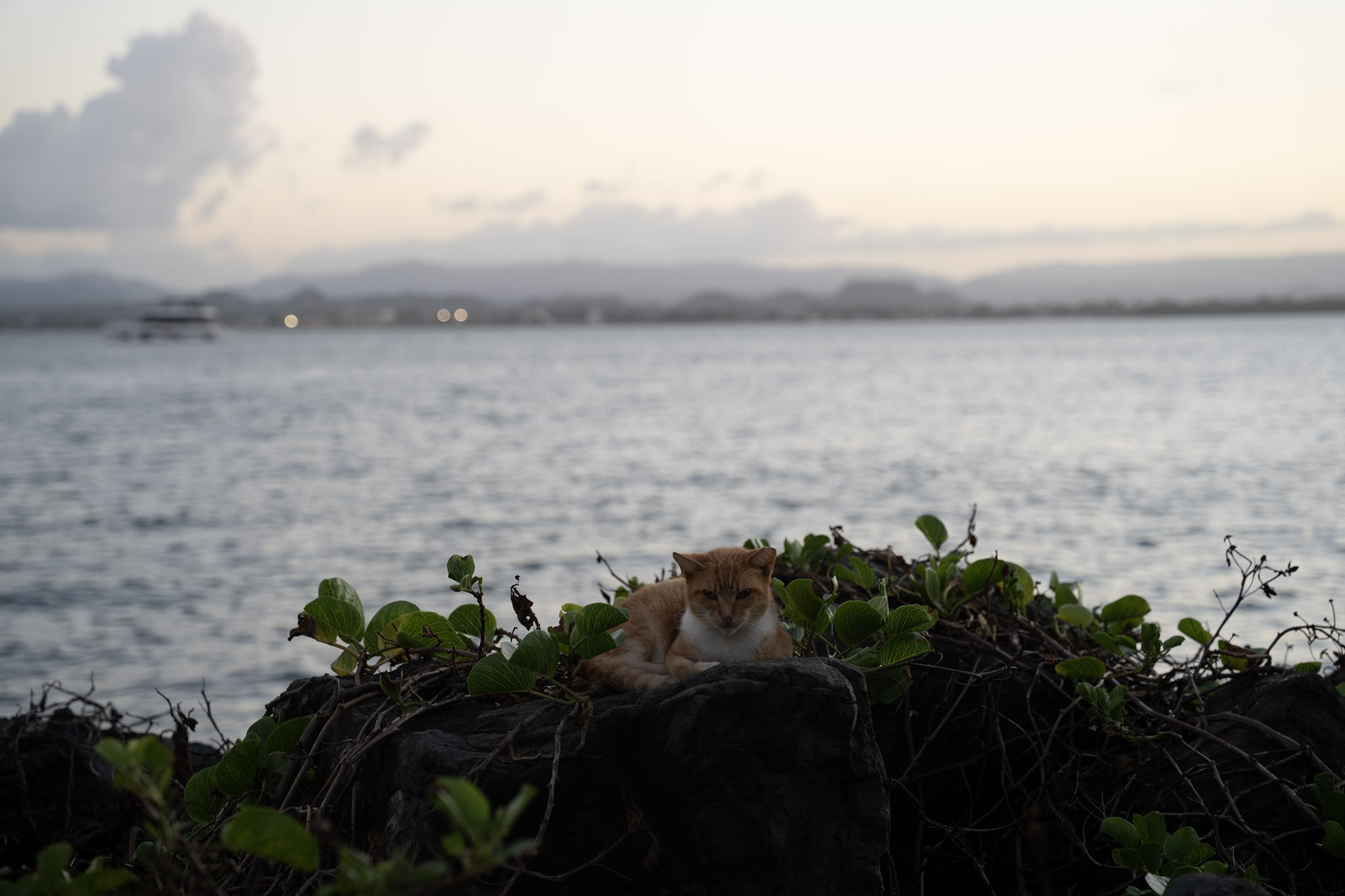 2022-12-24_San_Juan - foto 108