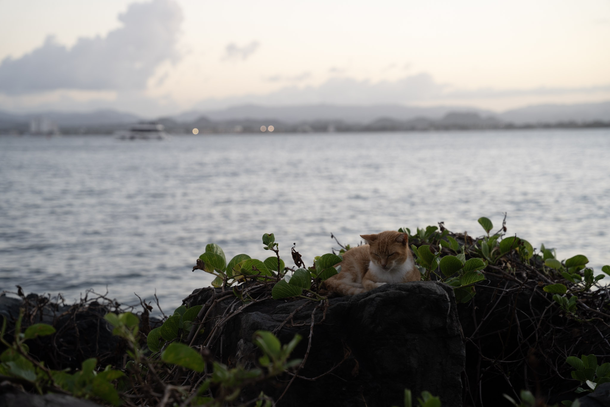 2022-12-24_San_Juan - foto 110