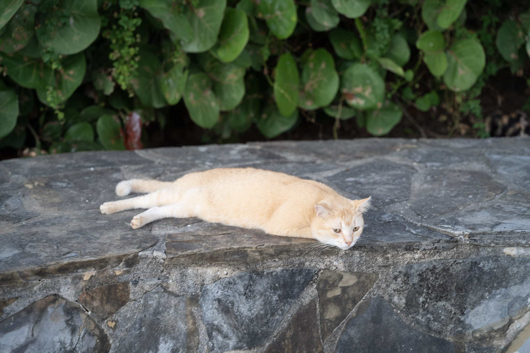 2022-12-24_San_Juan - foto 120