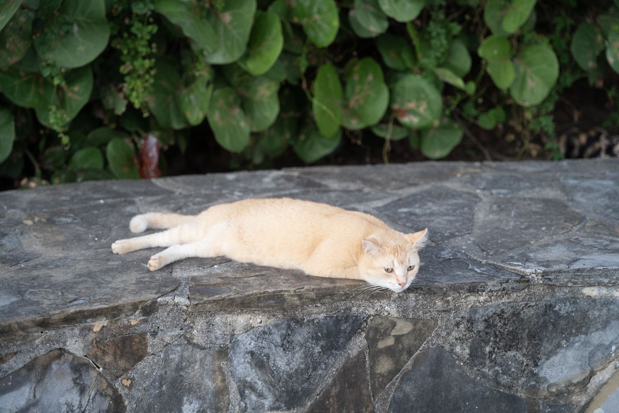 2022-12-24_San_Juan - foto 121