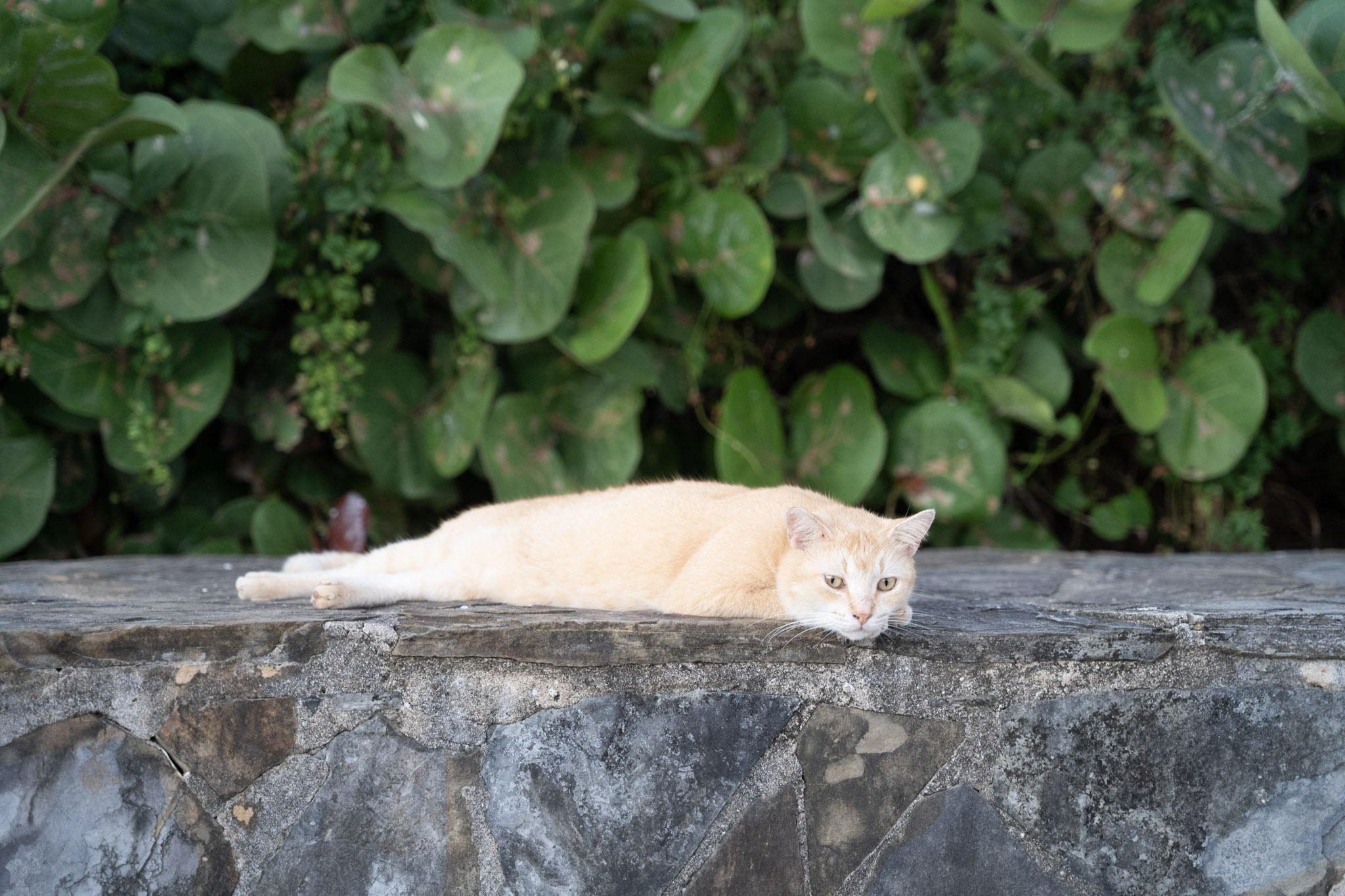 2022-12-24_San_Juan - foto 122