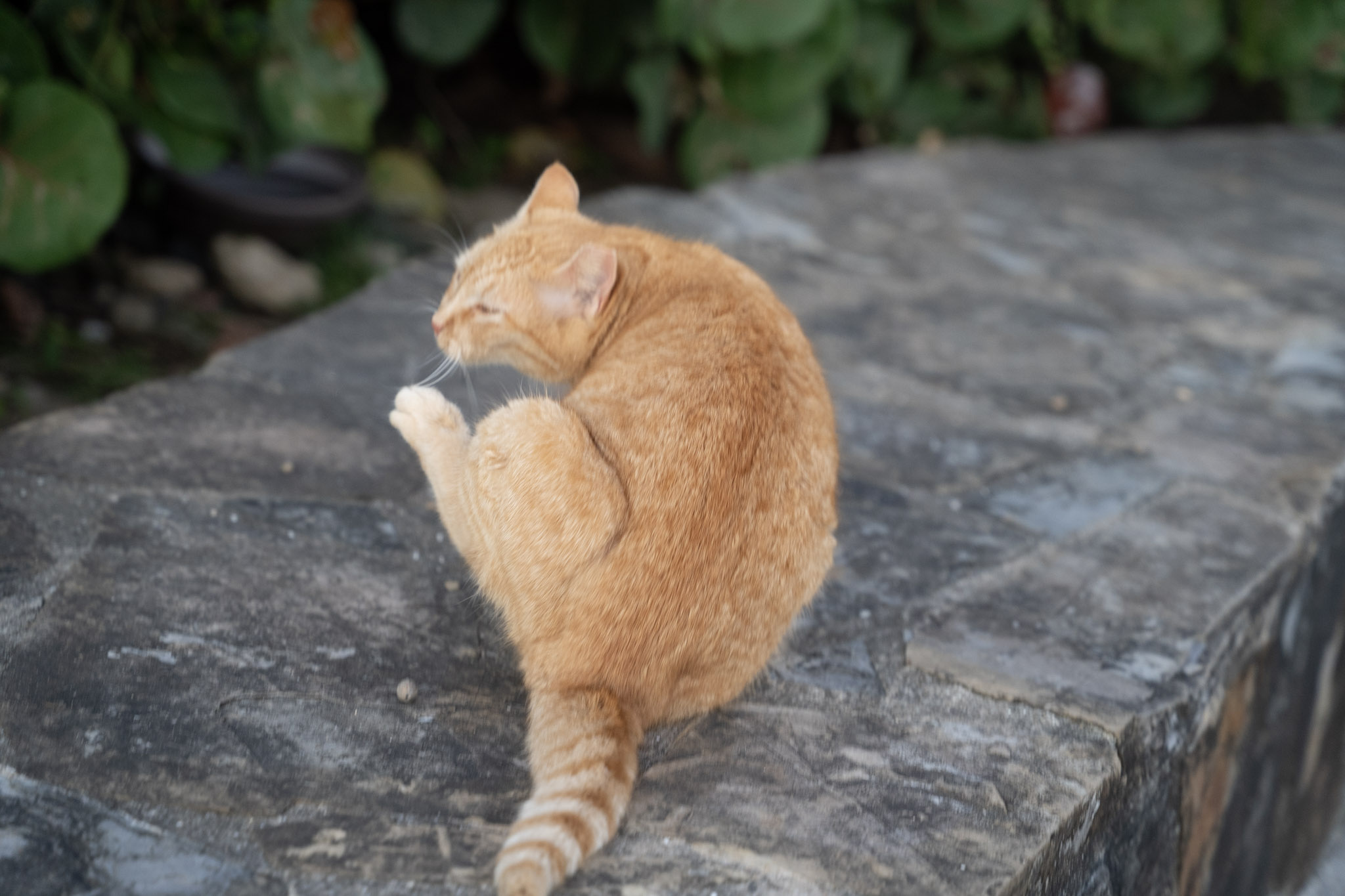 2022-12-24_San_Juan - foto 127