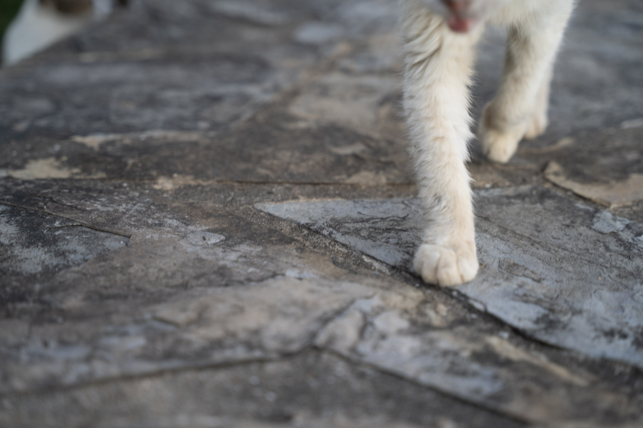 2022-12-24_San_Juan - foto 130