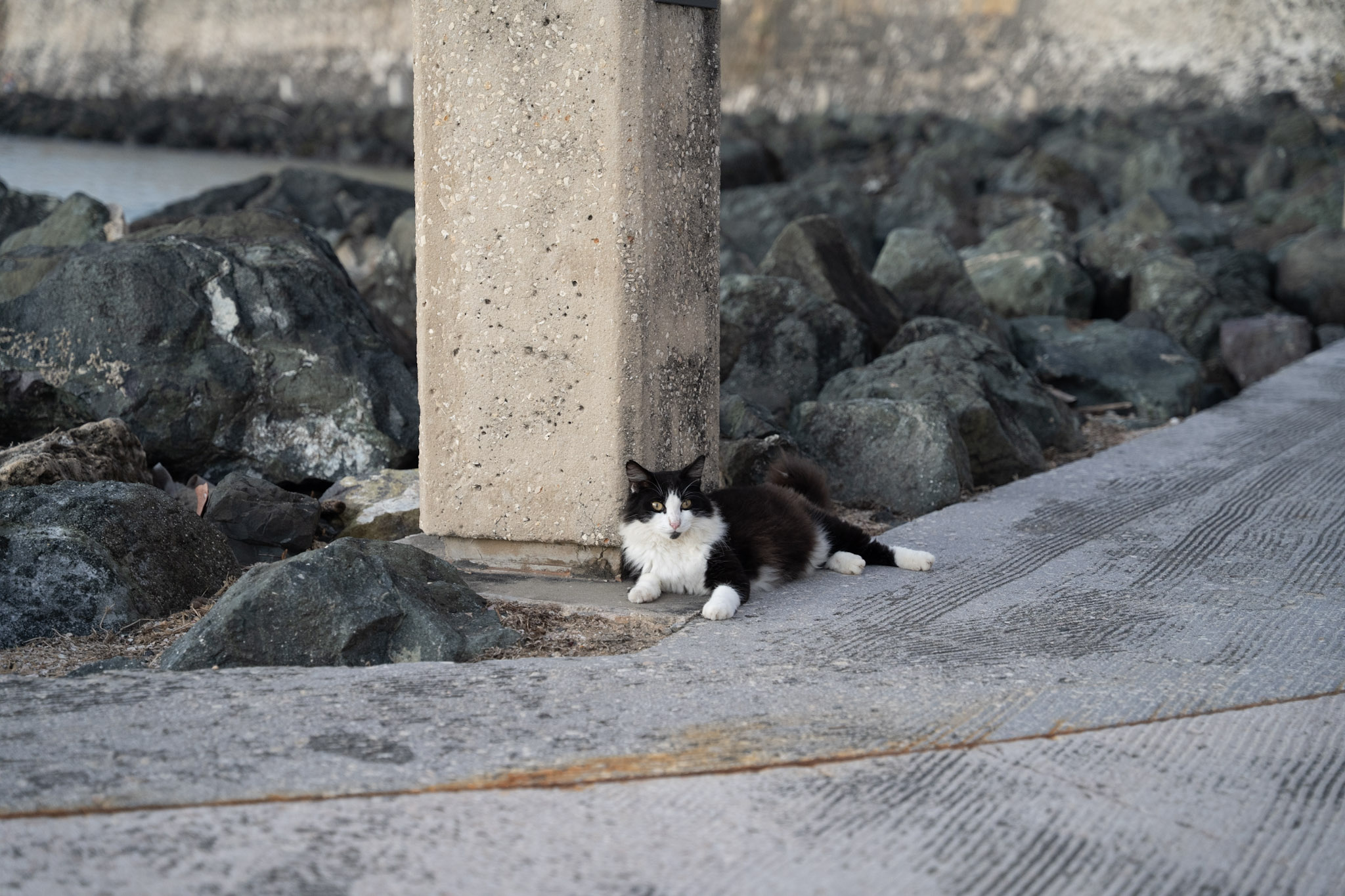 2022-12-24_San_Juan - foto 134