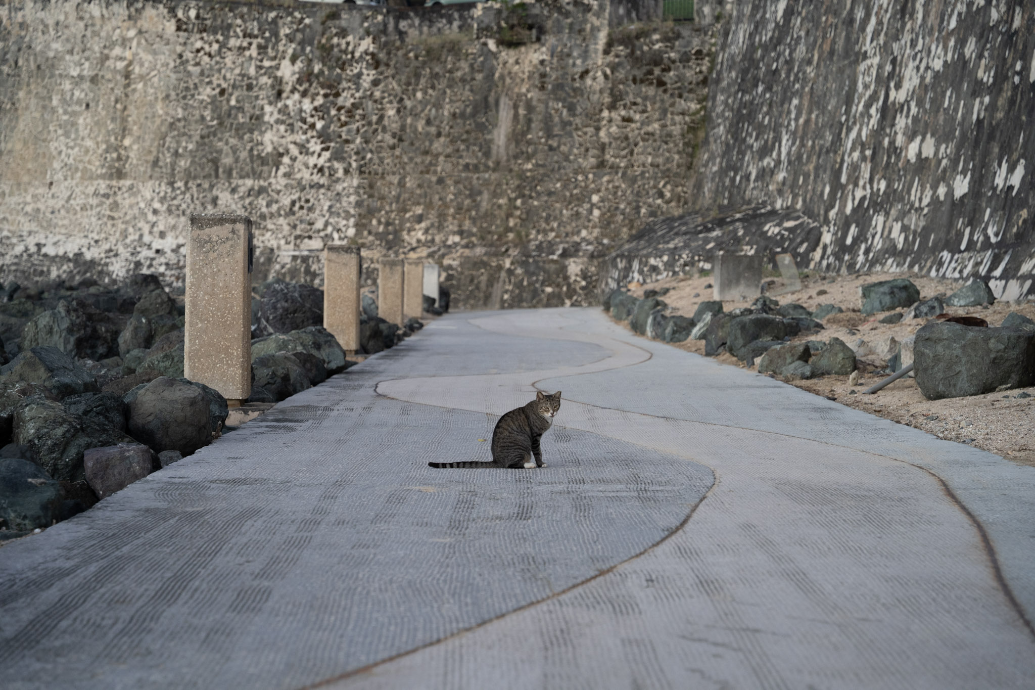 2022-12-24_San_Juan - foto 135