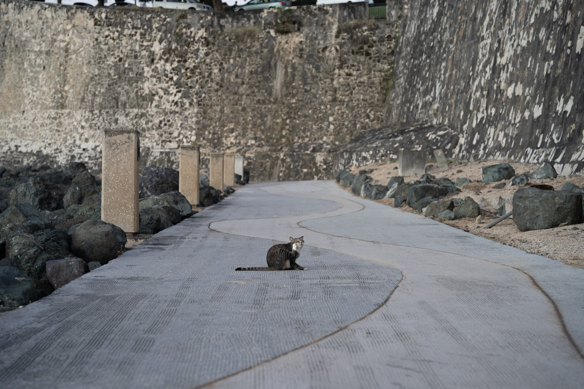 2022-12-24_San_Juan - foto 136