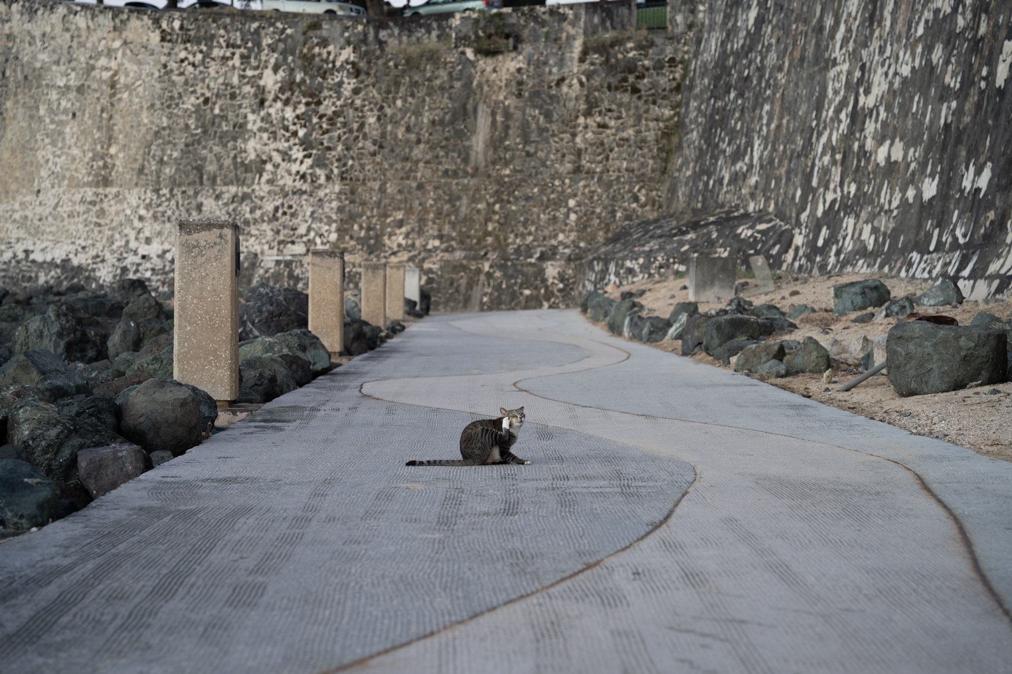 2022-12-24_San_Juan - foto 137