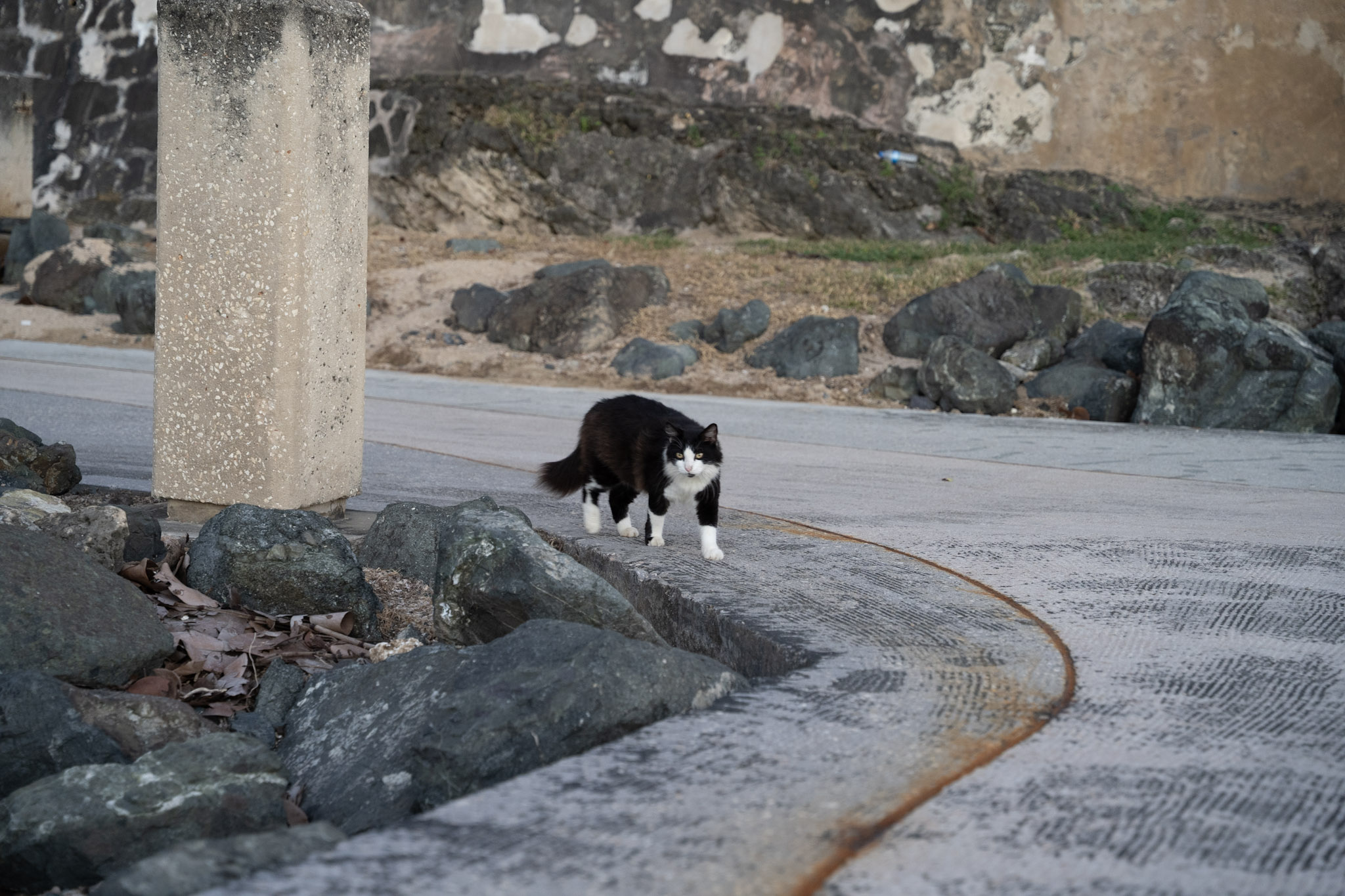 2022-12-24_San_Juan - foto 138