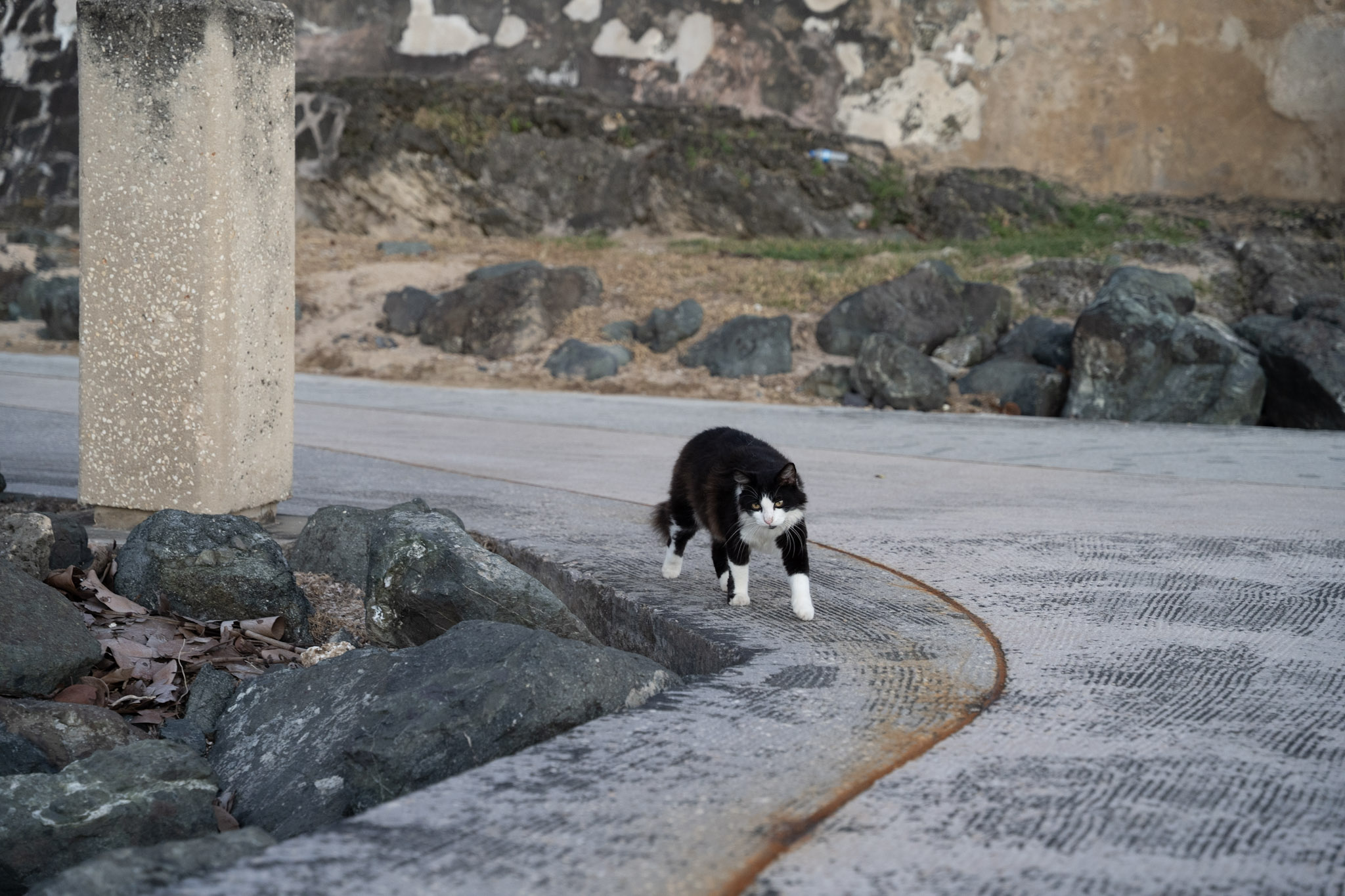 2022-12-24_San_Juan - foto 139