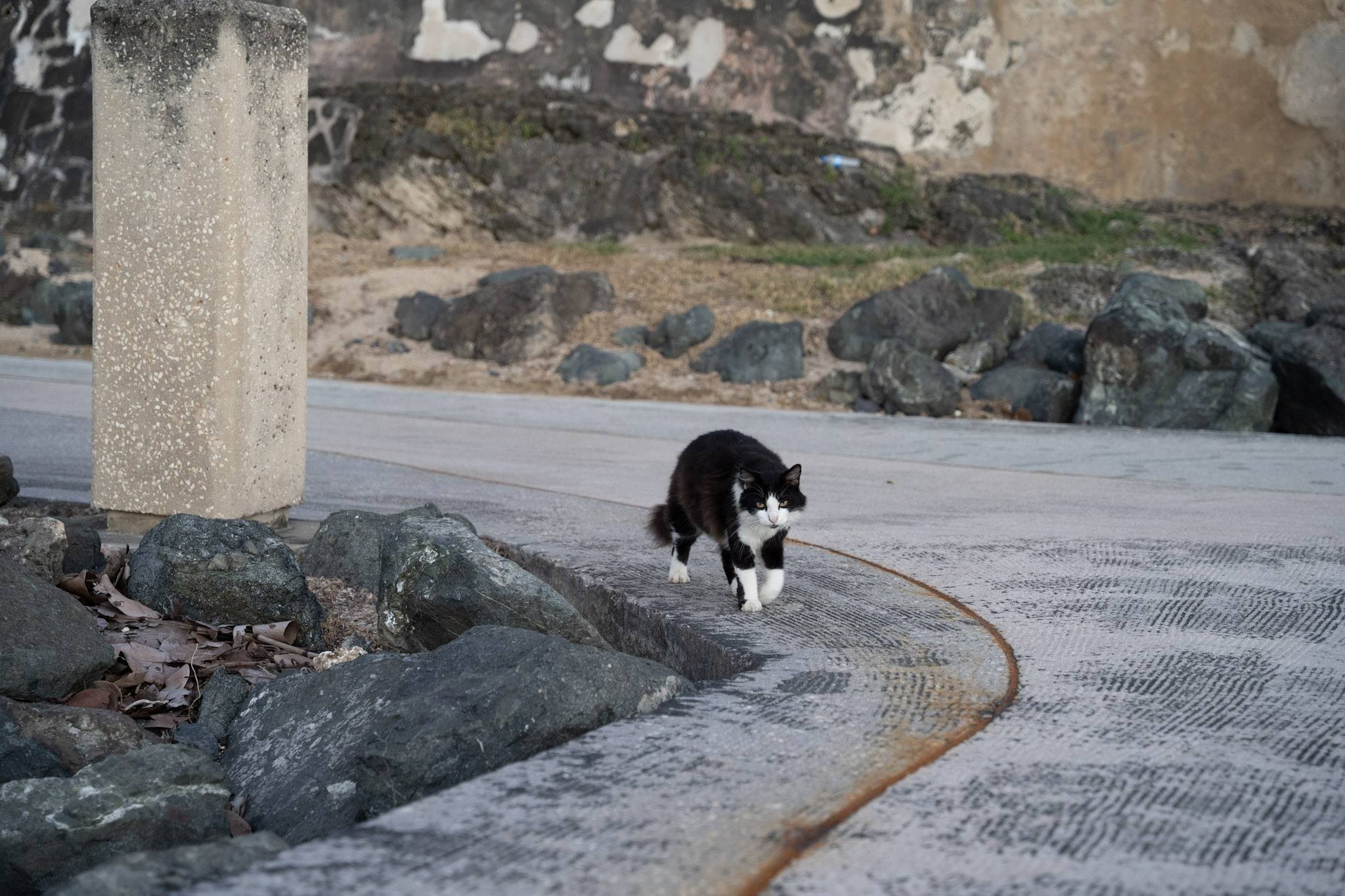 2022-12-24_San_Juan - foto 140