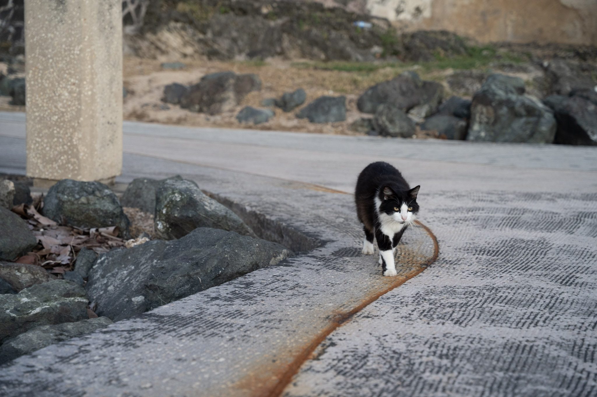 2022-12-24_San_Juan - foto 141