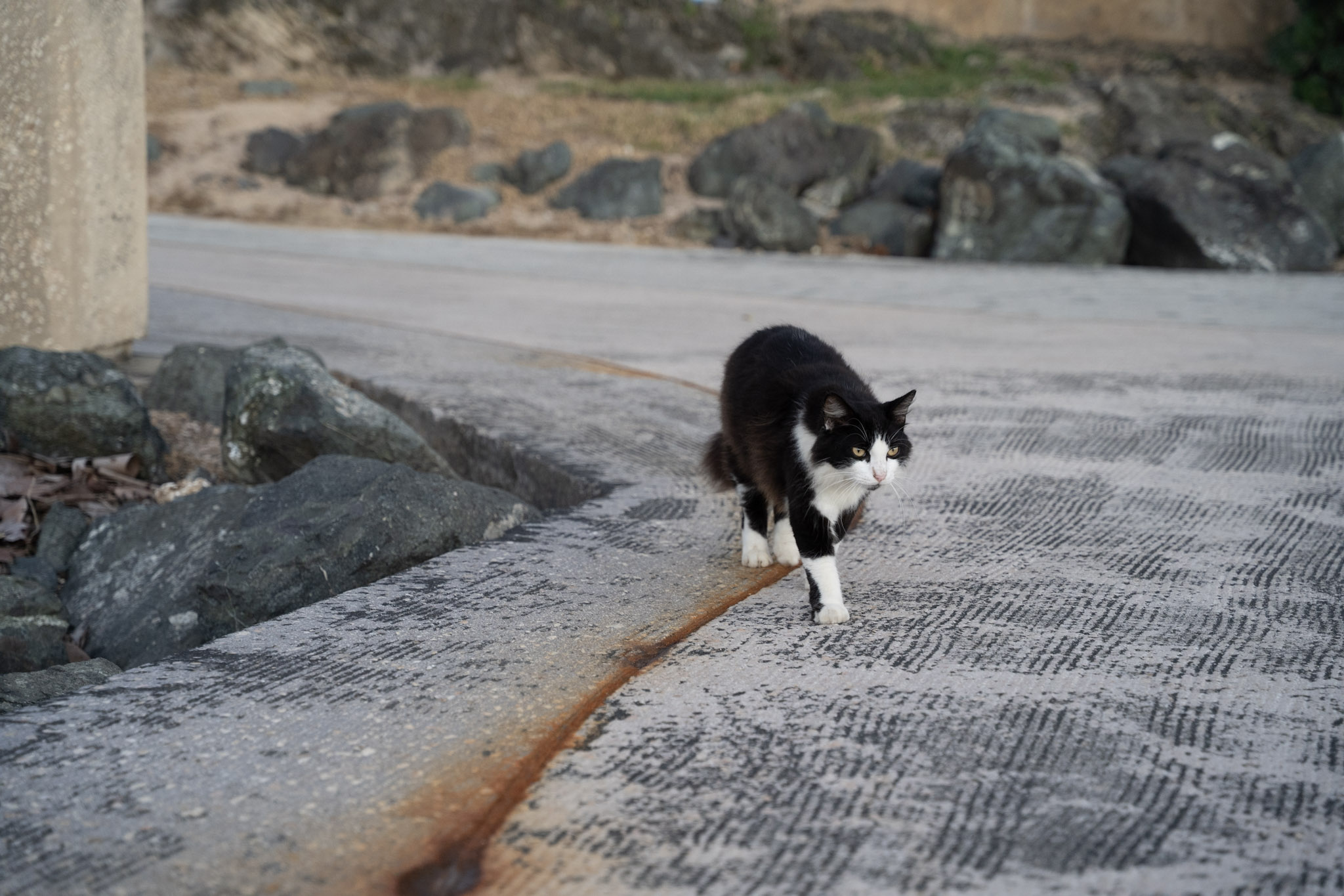 2022-12-24_San_Juan - foto 142