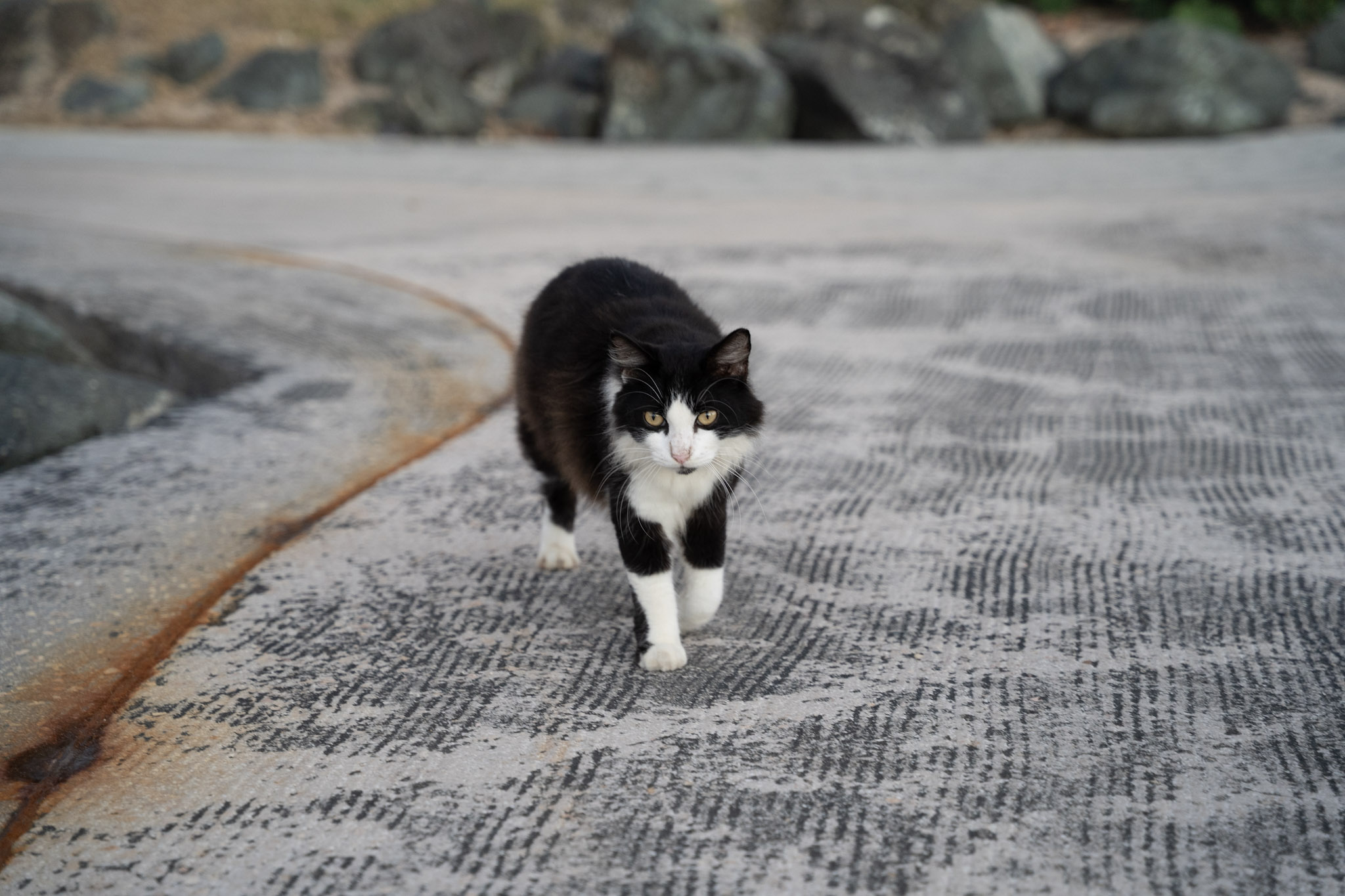 2022-12-24_San_Juan - foto 143