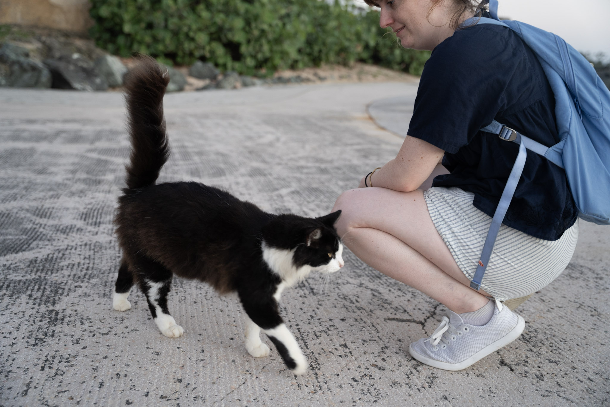 2022-12-24_San_Juan - foto 145