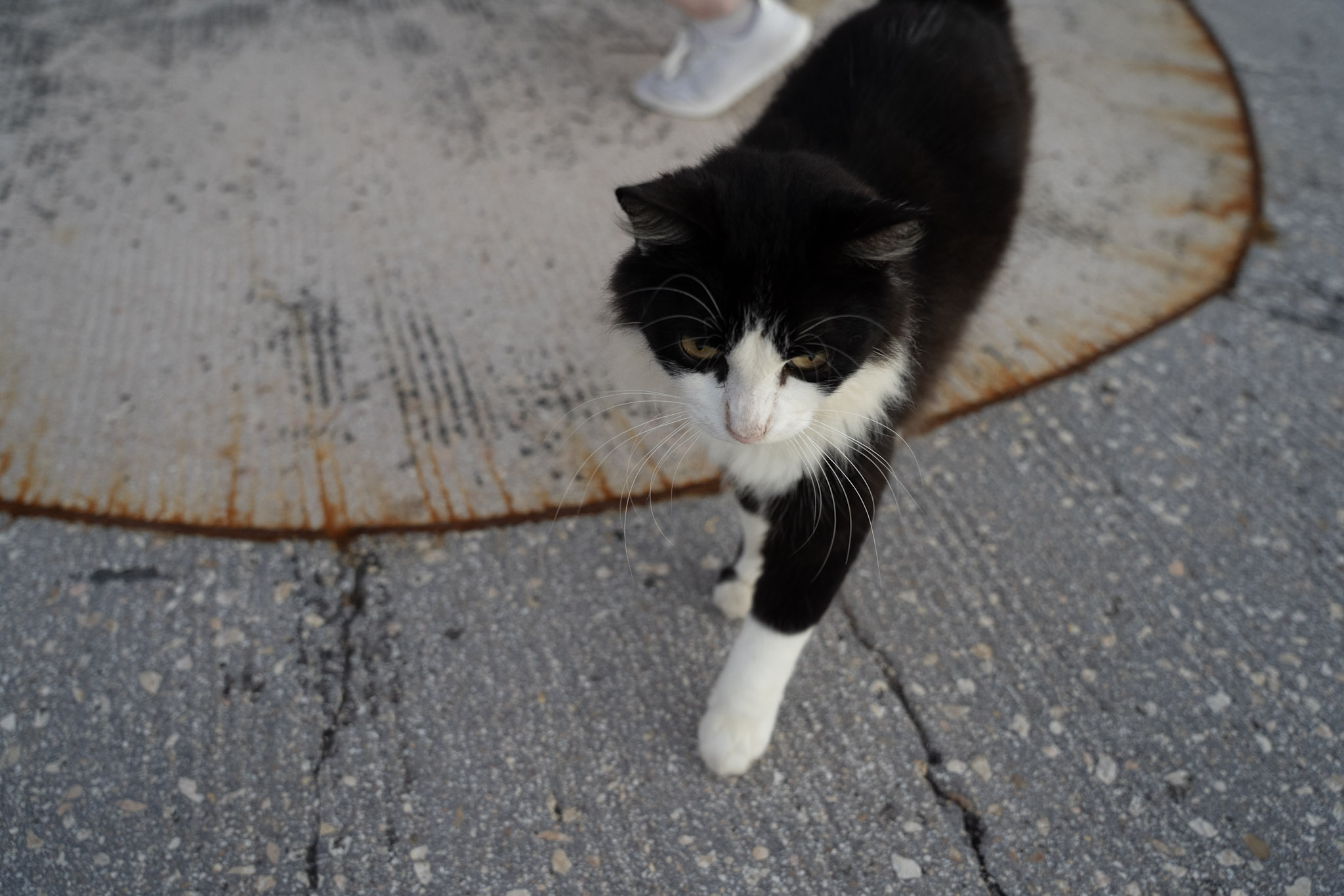 2022-12-24_San_Juan - foto 146