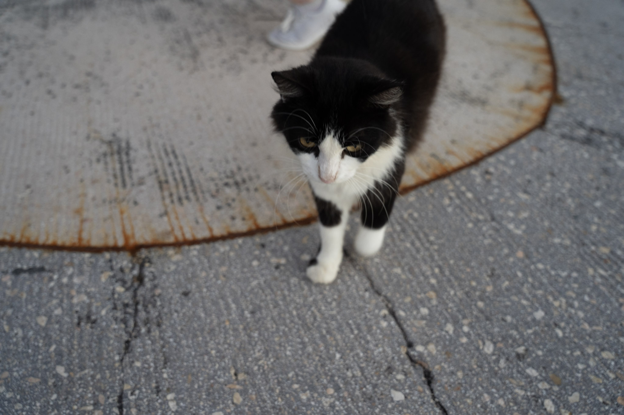 2022-12-24_San_Juan - foto 147