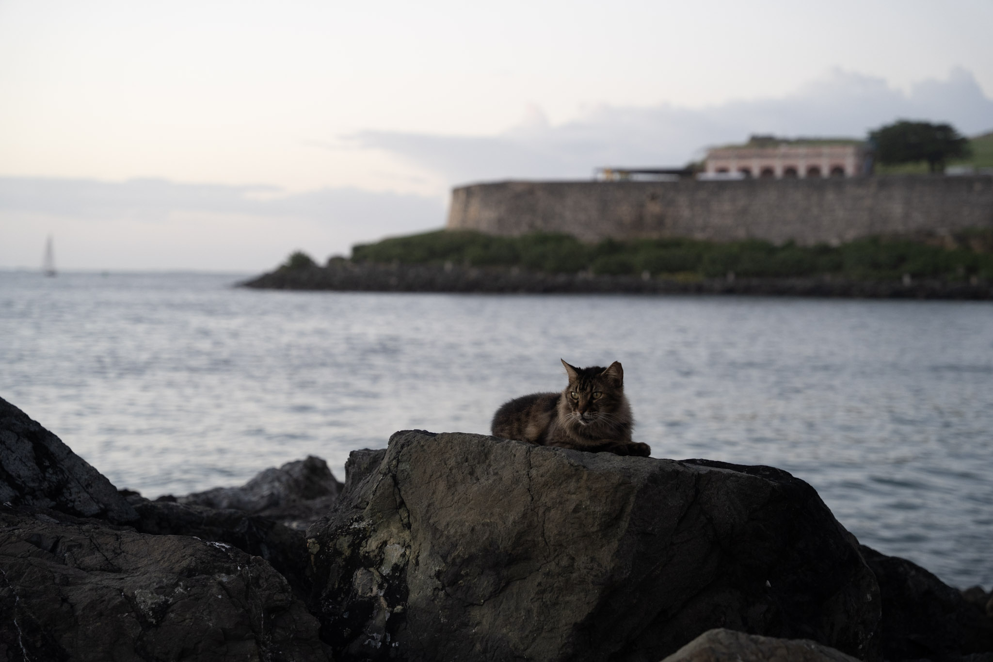 2022-12-24_San_Juan - foto 148