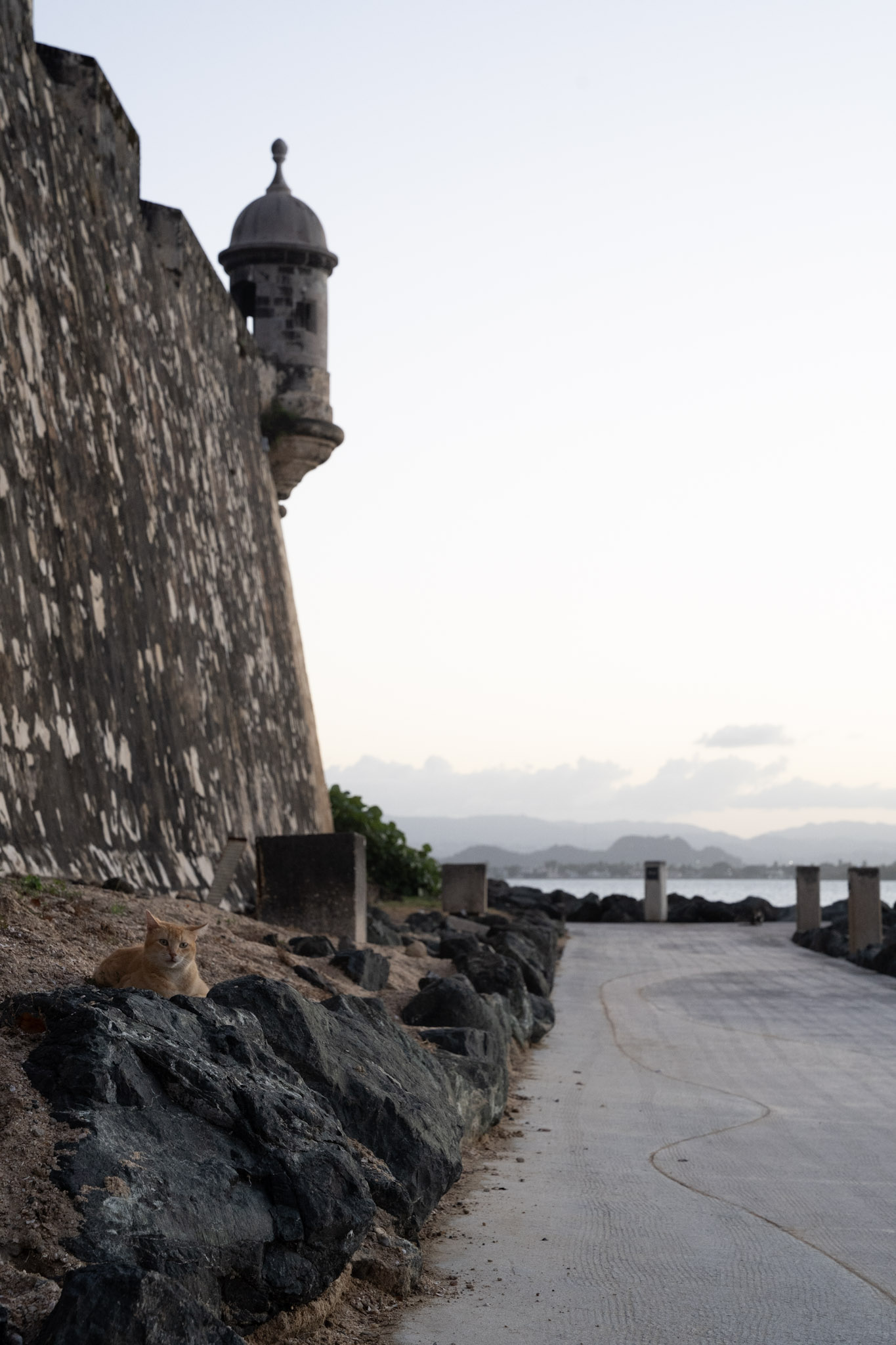 2022-12-24_San_Juan - foto 154