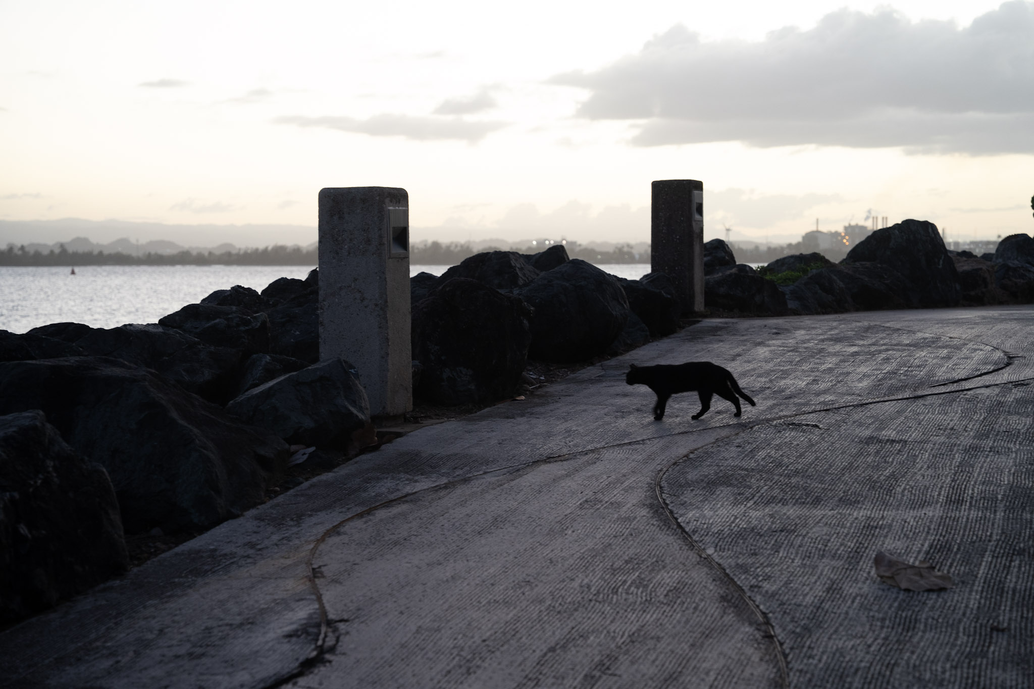 2022-12-24_San_Juan - foto 165