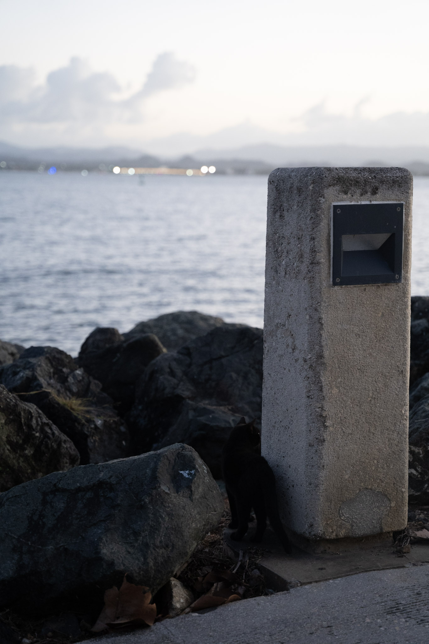 2022-12-24_San_Juan - foto 166