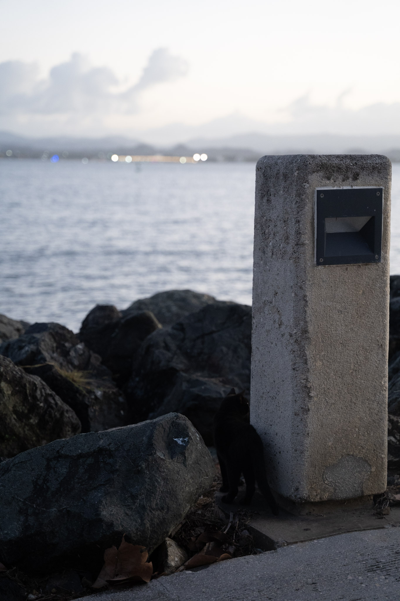 2022-12-24_San_Juan - foto 167