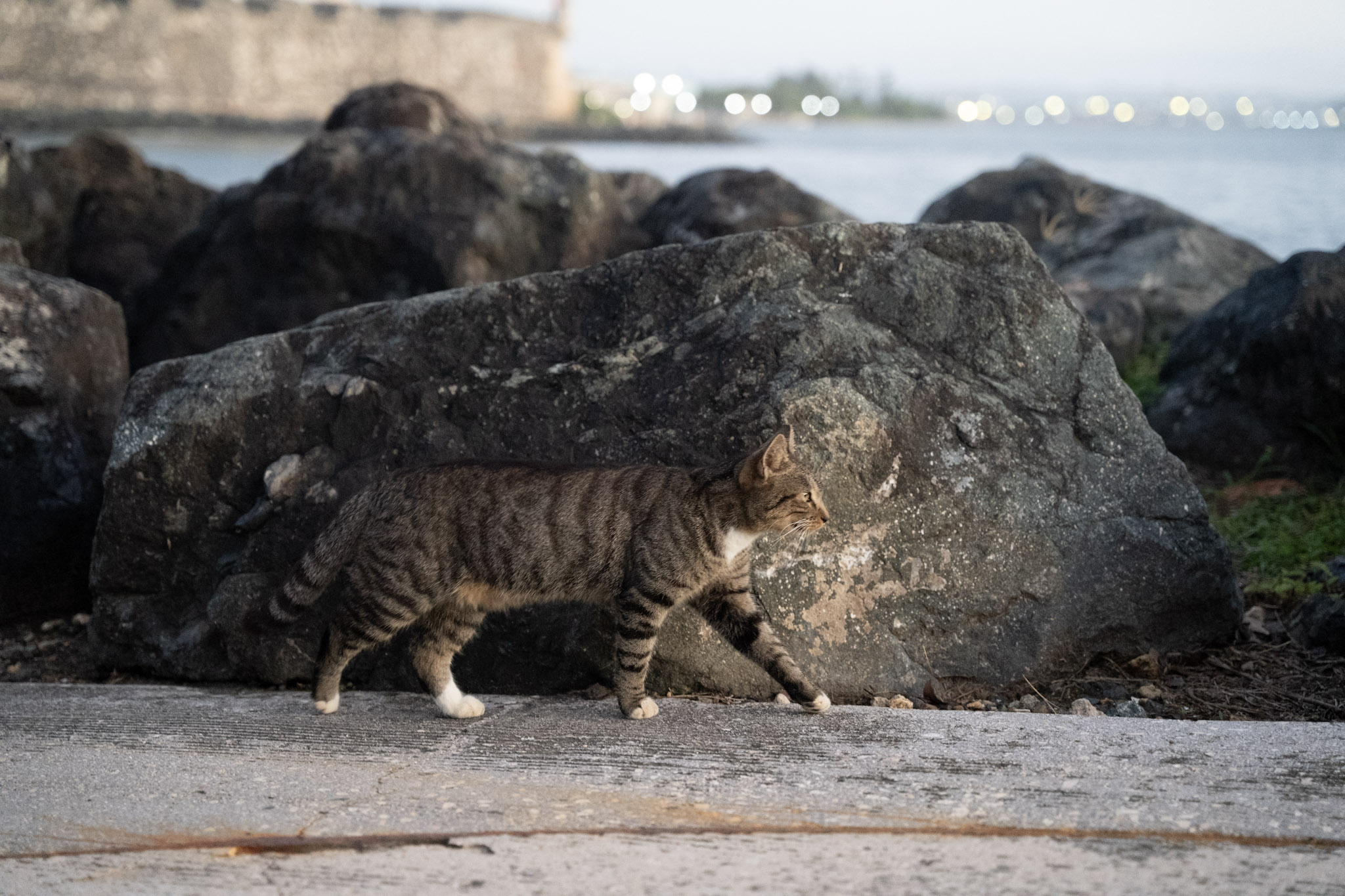 2022-12-24_San_Juan - foto 168