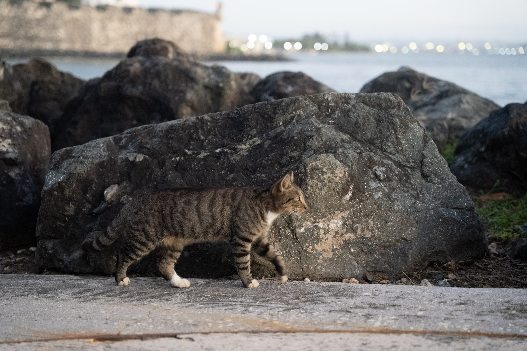 2022-12-24_San_Juan - foto 169