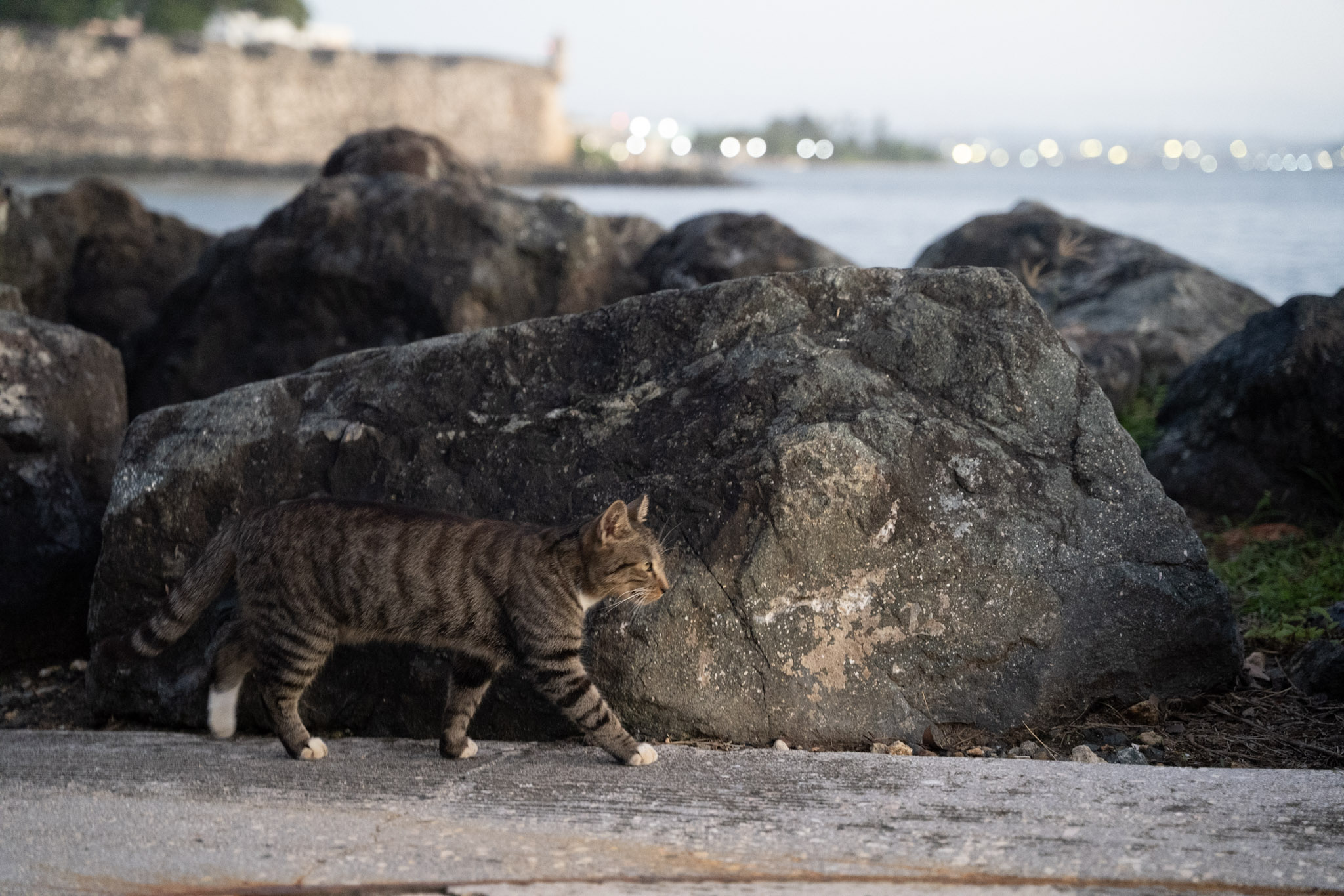 2022-12-24_San_Juan - foto 170