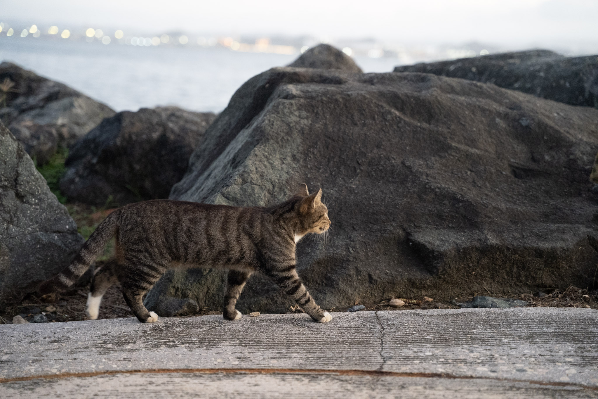 2022-12-24_San_Juan - foto 171