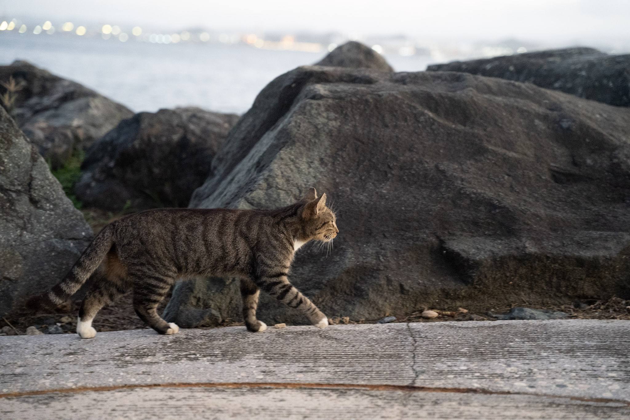 2022-12-24_San_Juan - foto 172