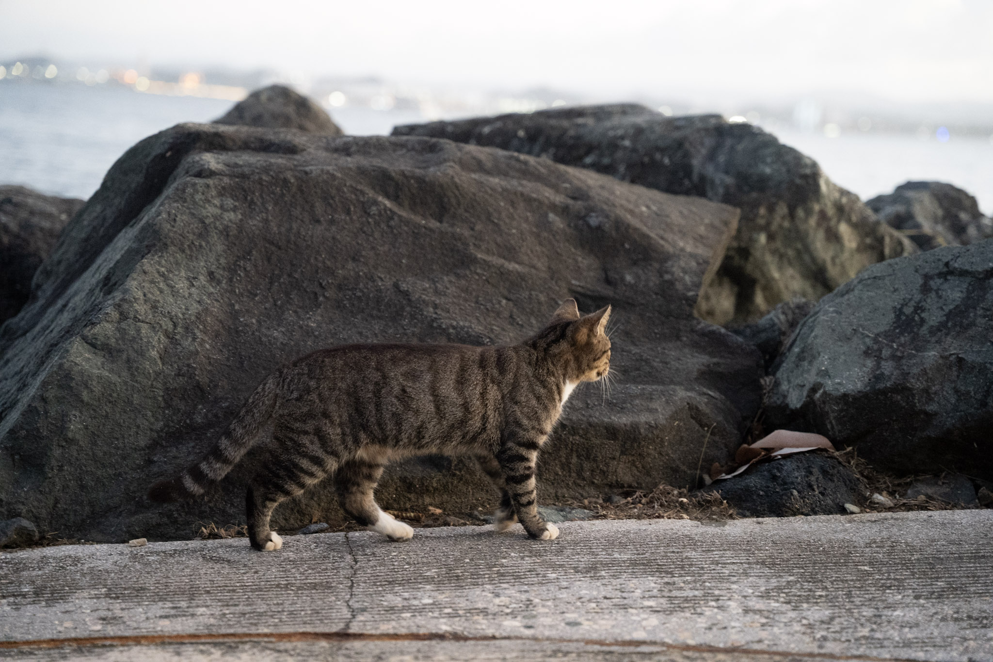 2022-12-24_San_Juan - foto 173